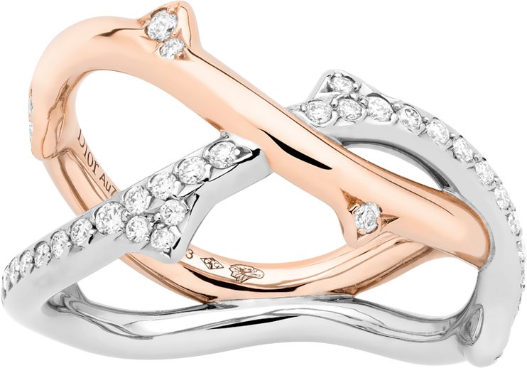 Bois de Rose Ring Front view Front view