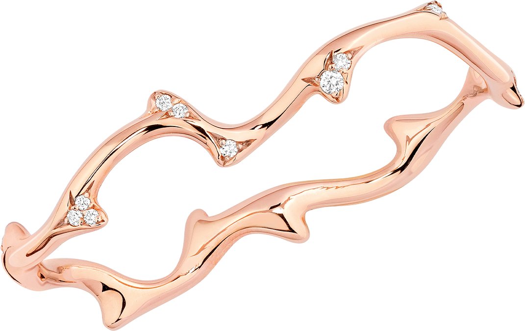Bois de Rose Doppelring aria_frontView