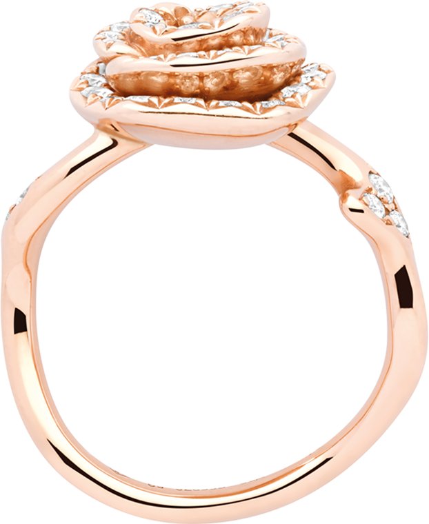 Dior rose ring 2025