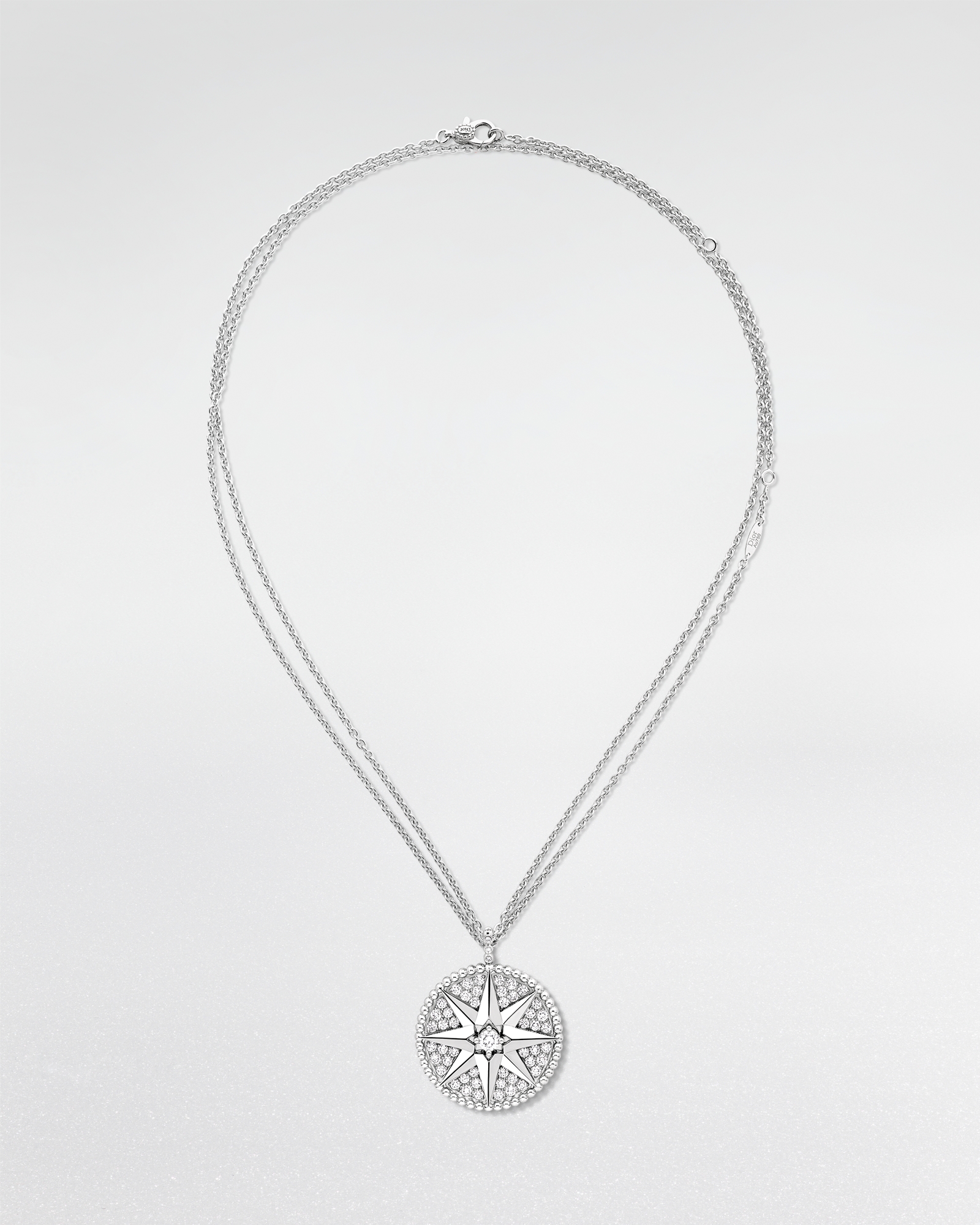 Rose des Vents Medallion