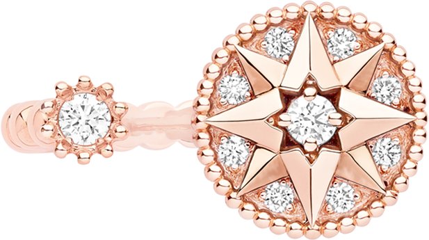 Rose Des Vents Ring Three quarter closed view