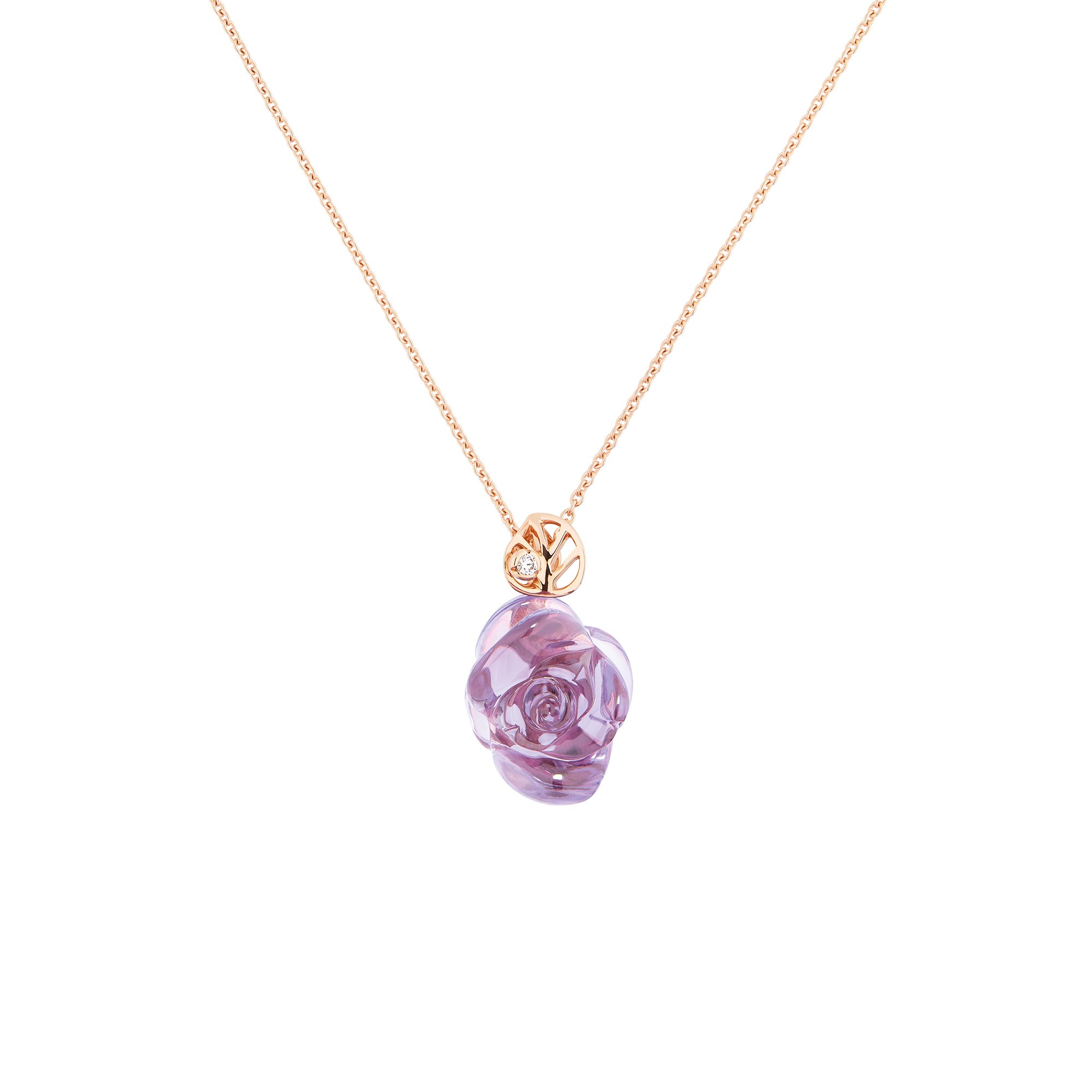 Rose dior pre catelan hotsell