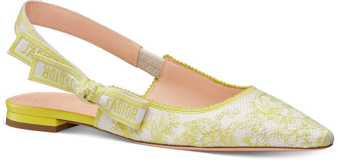 Dior flat slingback online