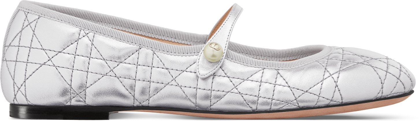 Dior Ballet Flat Profile view