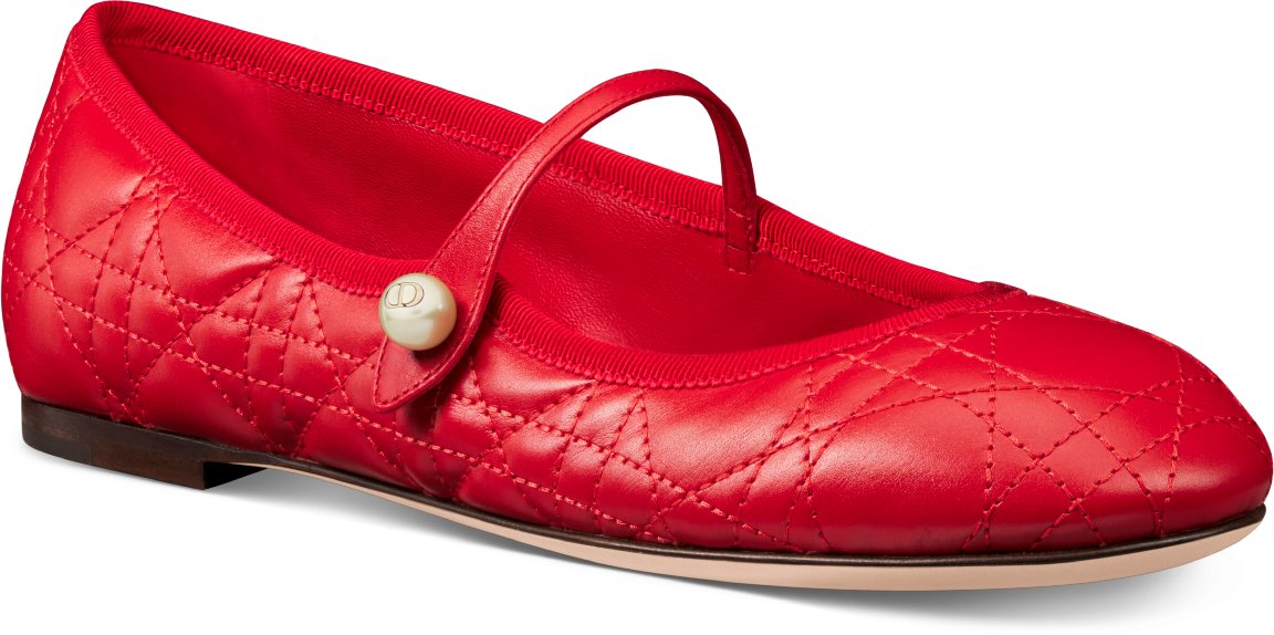 Dior new flats discount