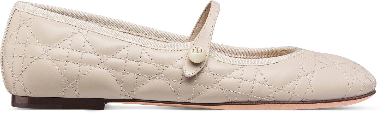 Dior Ballet Flat Profile view