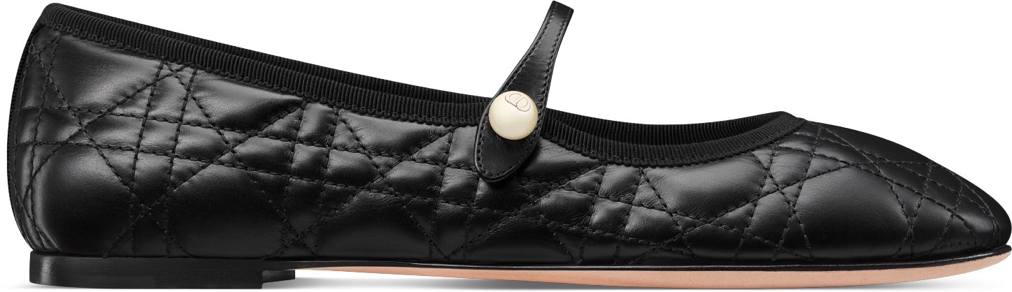 Dior ballet flats price top