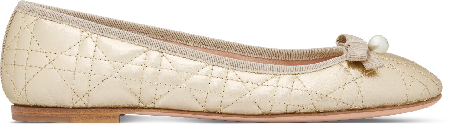 Dior Ballet Flat Profile view