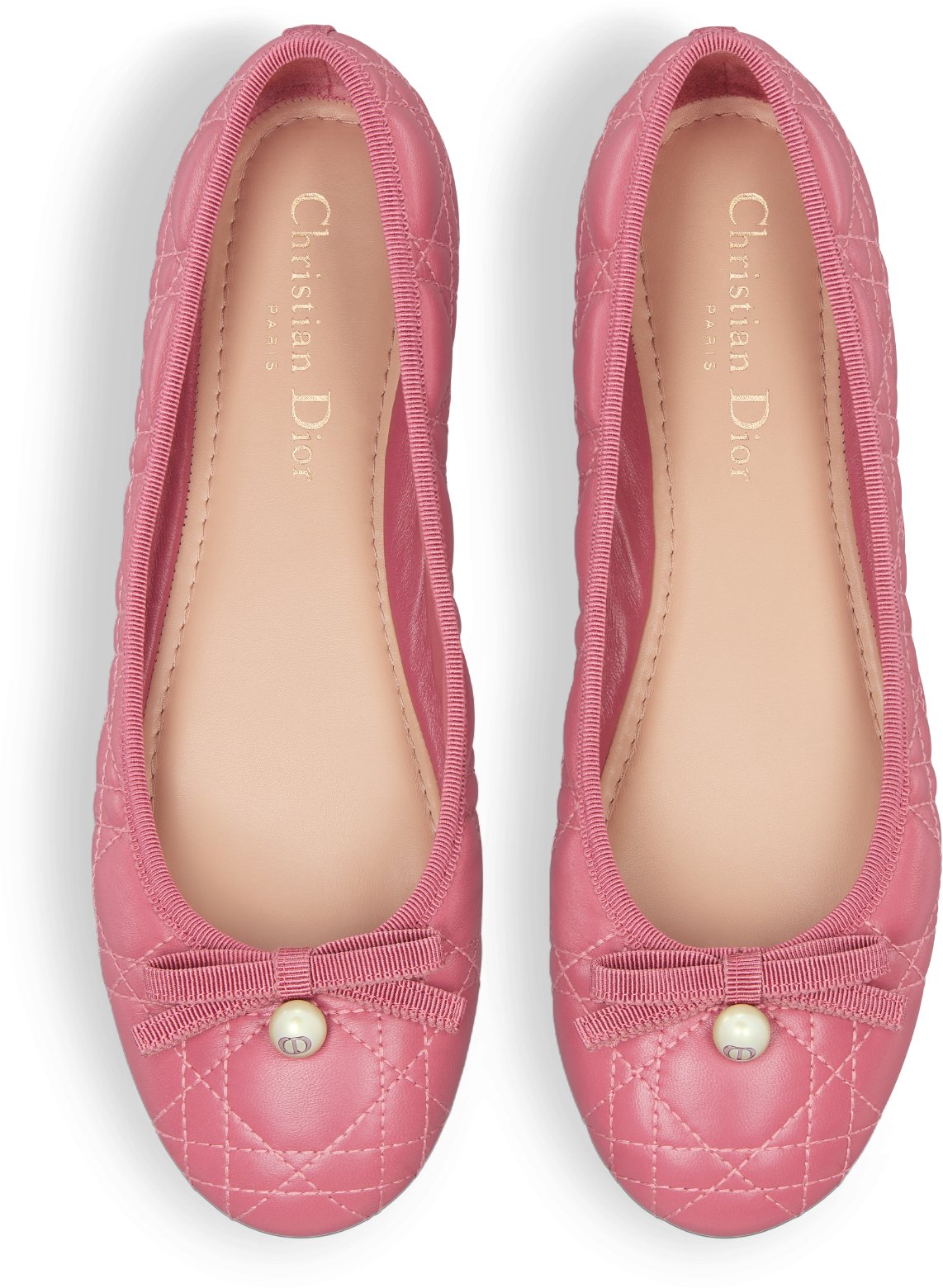 Dior Ballet Flat Top shot view