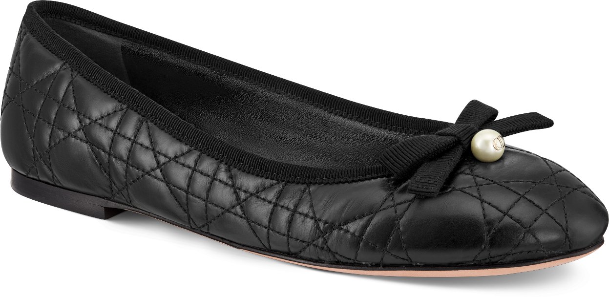 Dior ballerina flats online