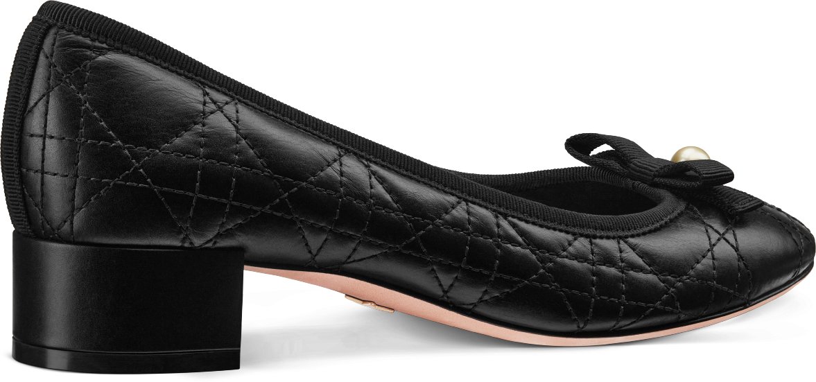 Dior Ballet Pump Three quarter back view