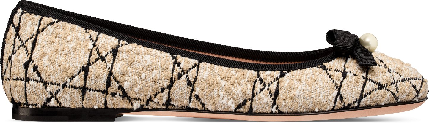 Dior Ballet Flat Profile view