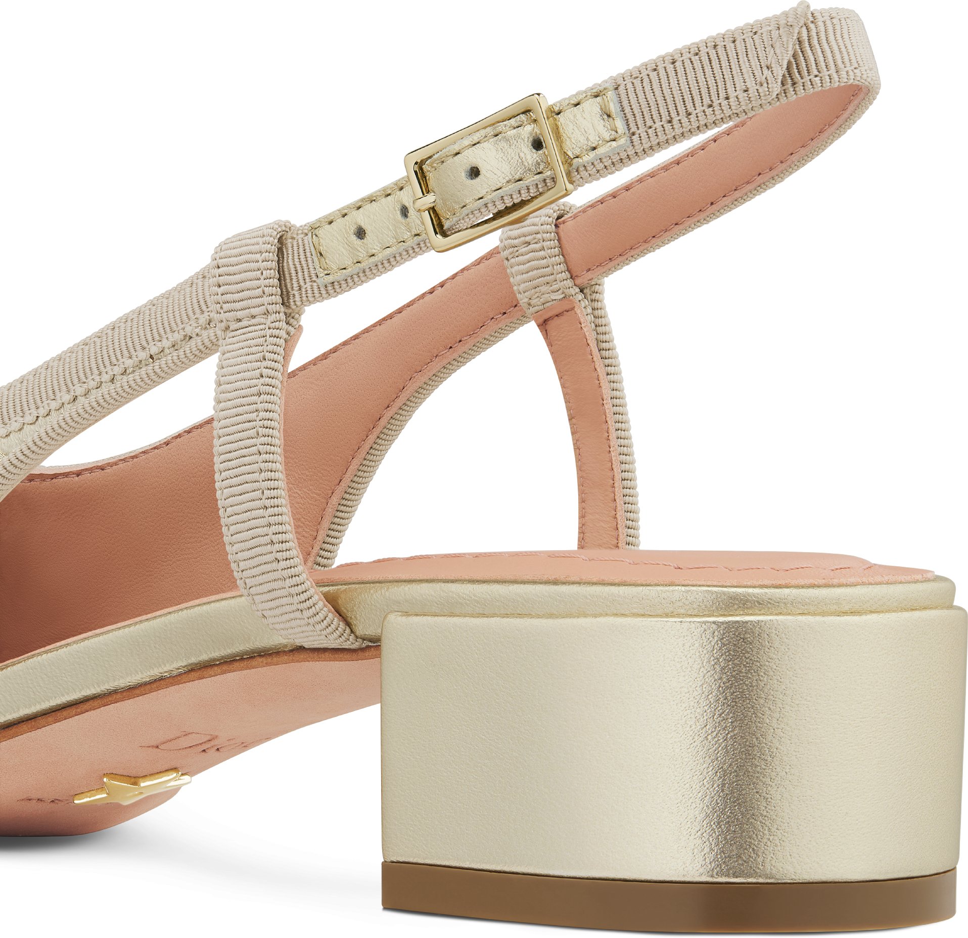 Dior Ballet Slingback Pump Detailed view