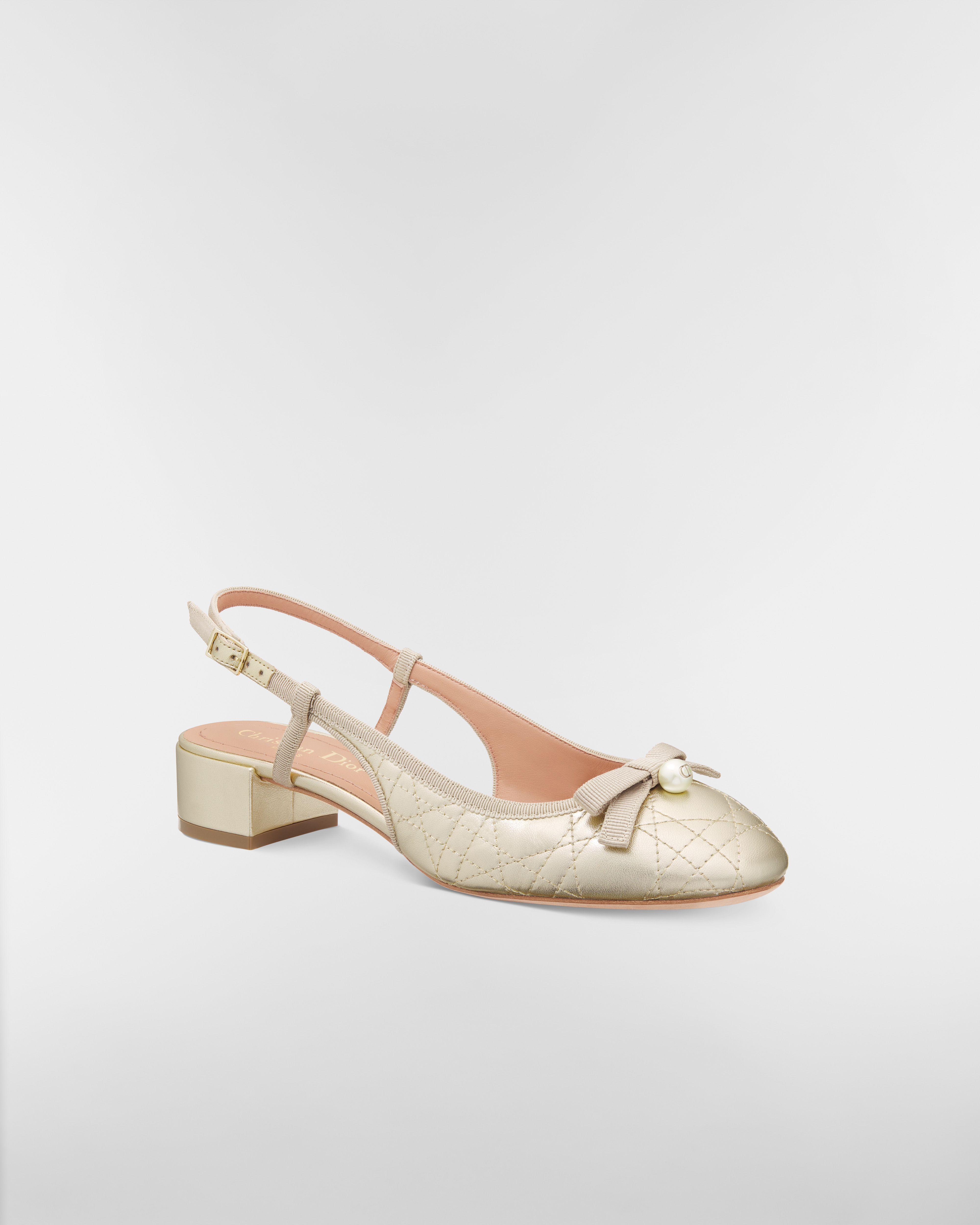 Dior Ballet Slingback Pump