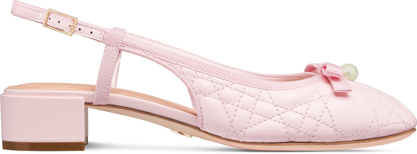 Dior Ballet Slingback-Pumps aria_profileView