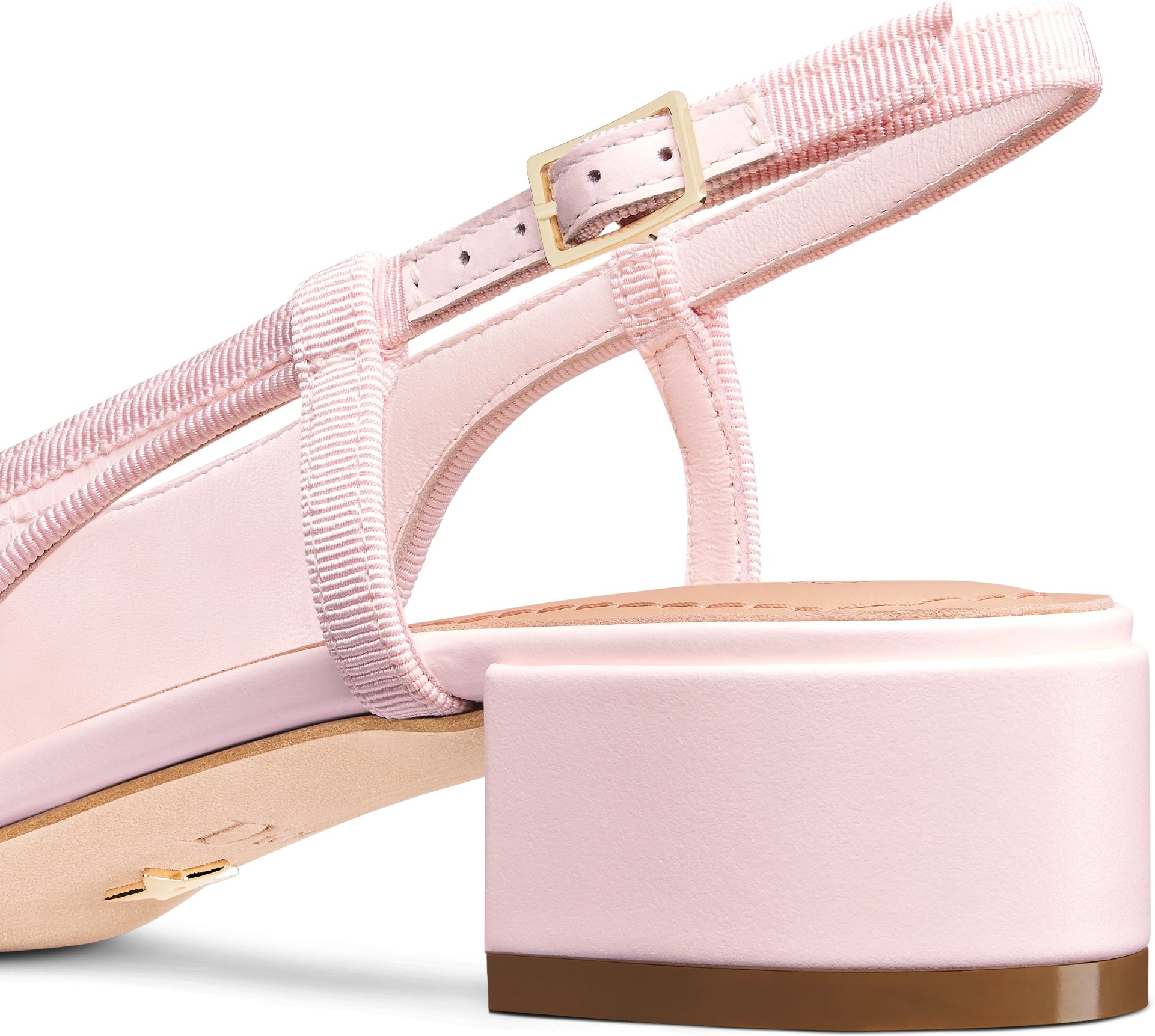 Dior Ballet Slingback-Pumps aria_detailedView