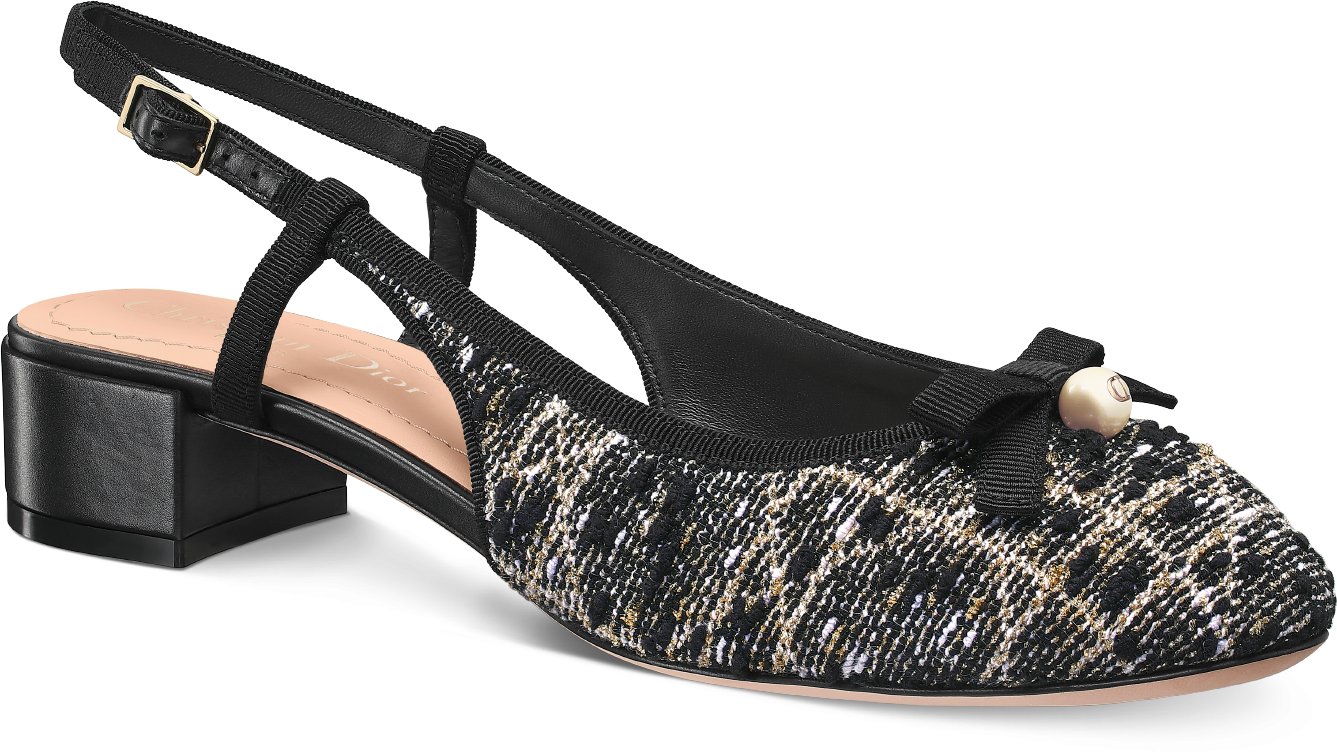 Dior Ballet Slingback Pump Three quarter closed view