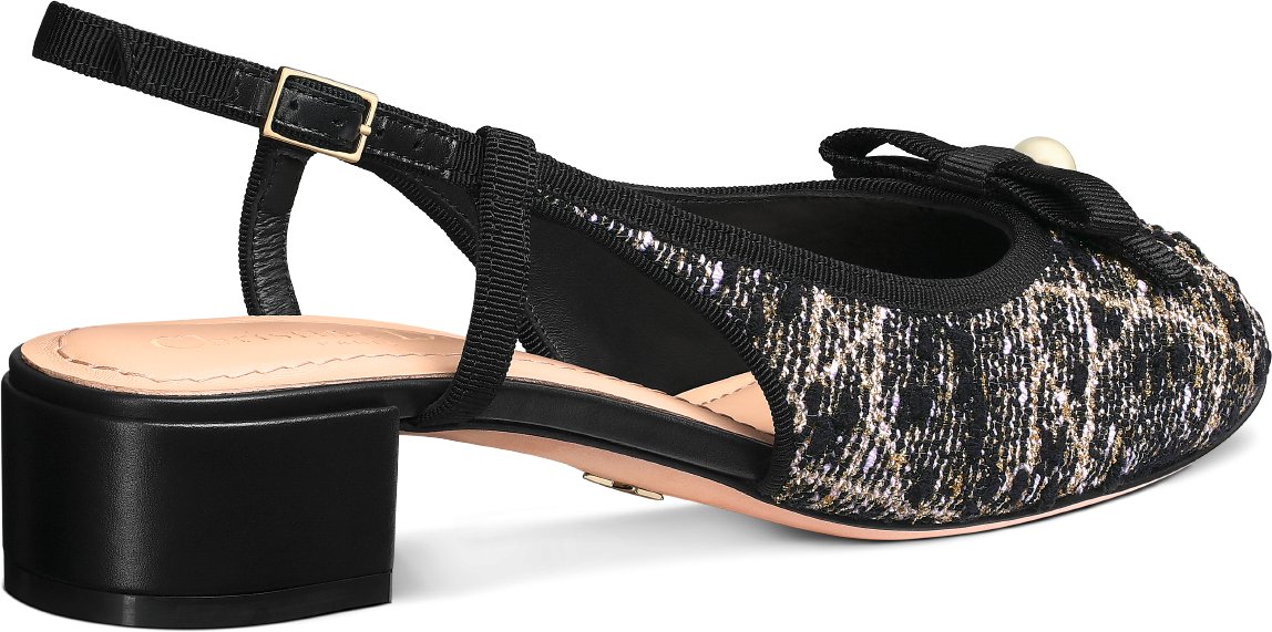 Dior Ballet Slingback Pump Three quarter back view