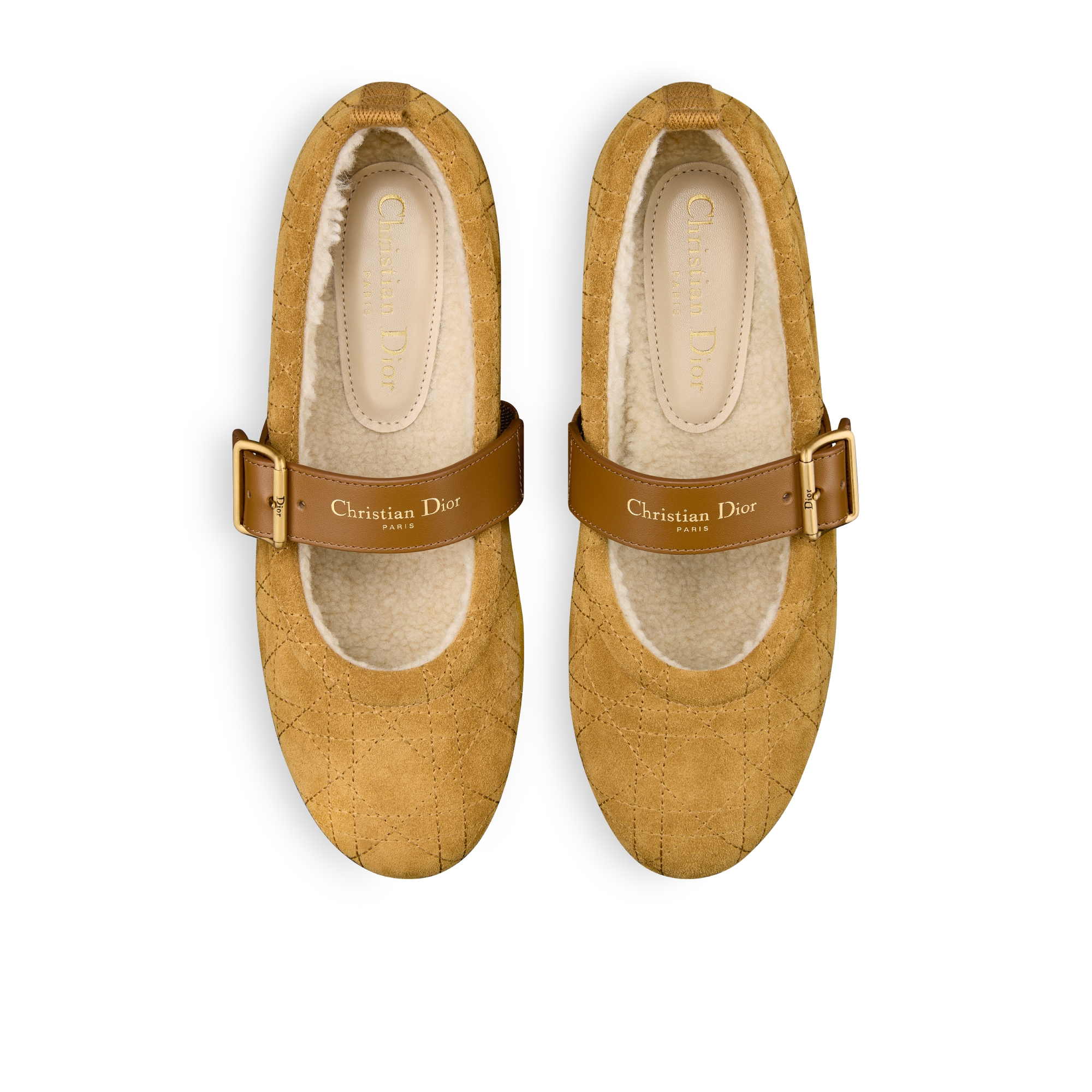 DiorAlps Dior Frost Ballet Flat
