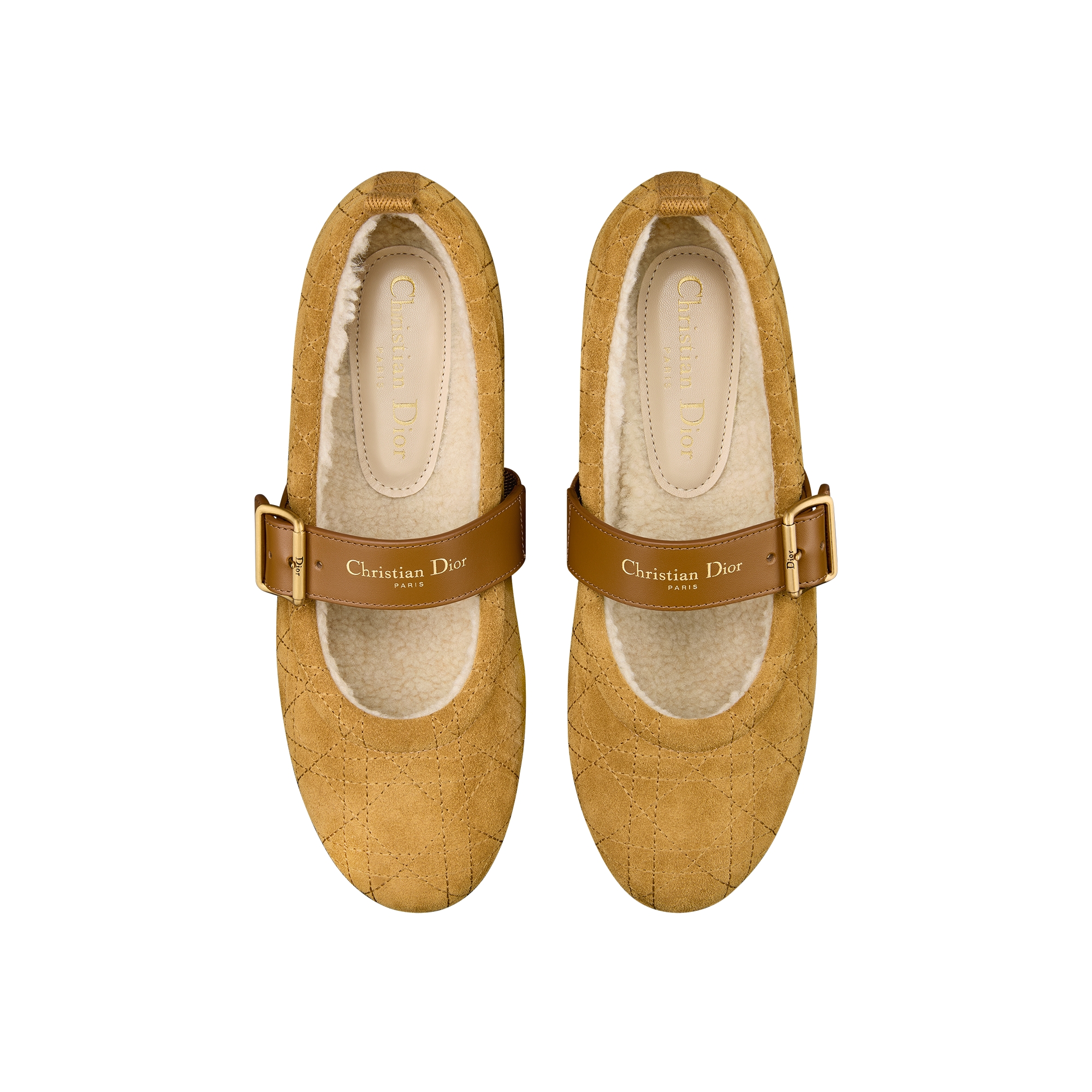 DiorAlps Dior Frost Ballet Flat Camel Cannage Suede Calfskin E06