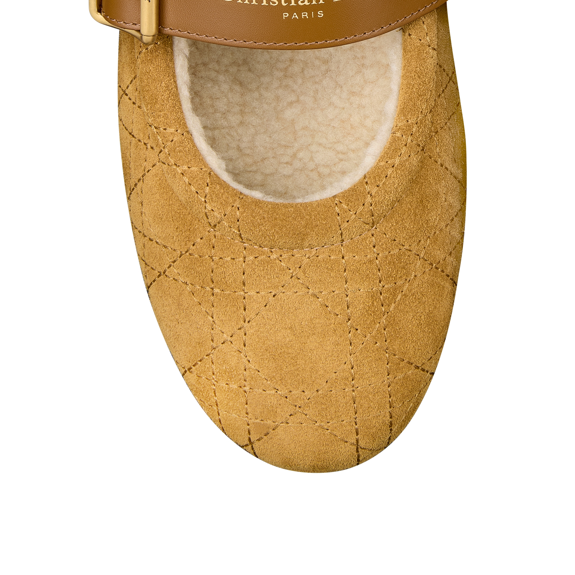 DiorAlps Dior Frost Ballet Flat Camel Cannage Suede Calfskin E09