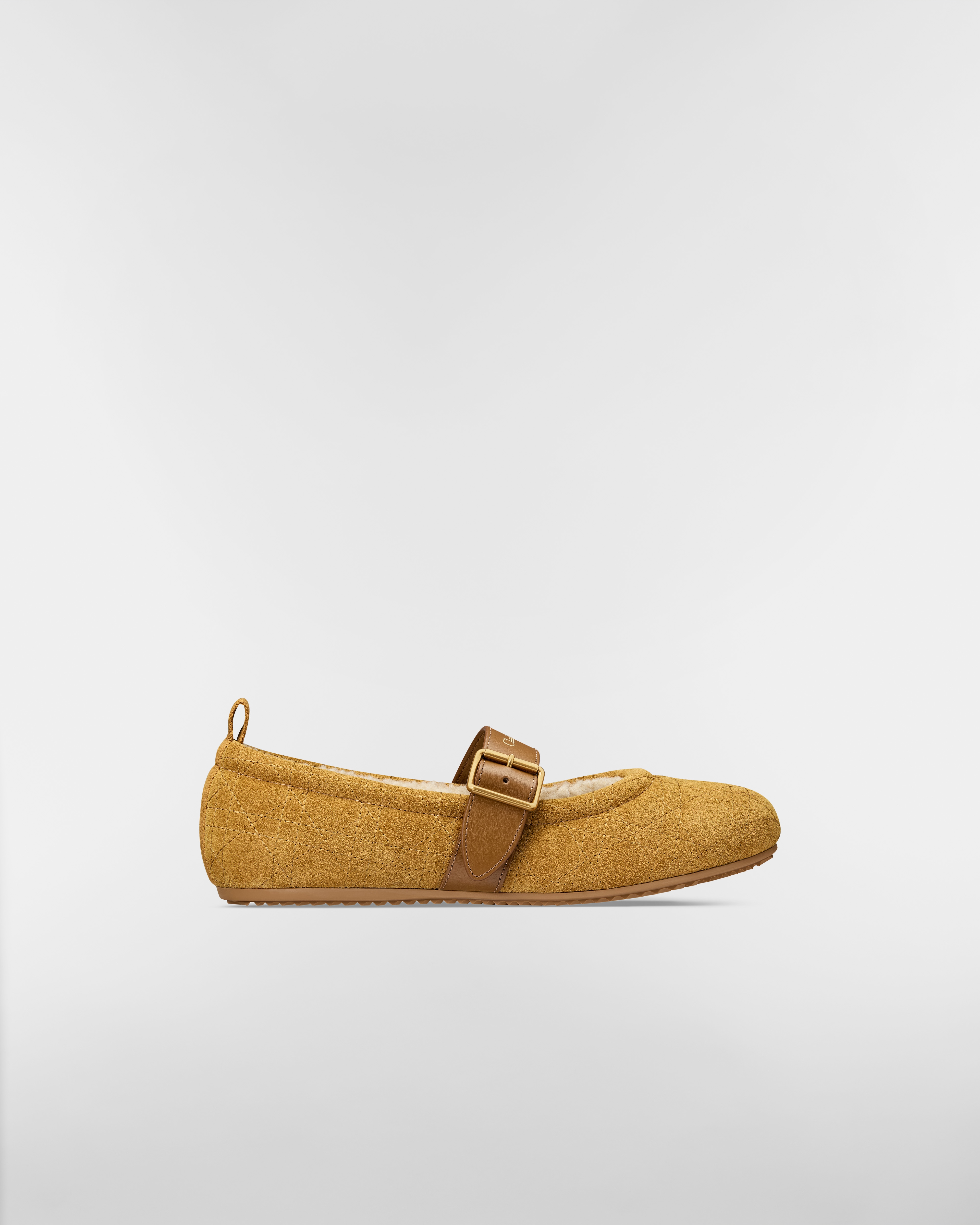 DiorAlps Dior Frost Ballet Flat Camel Cannage Suede Calfskin E02