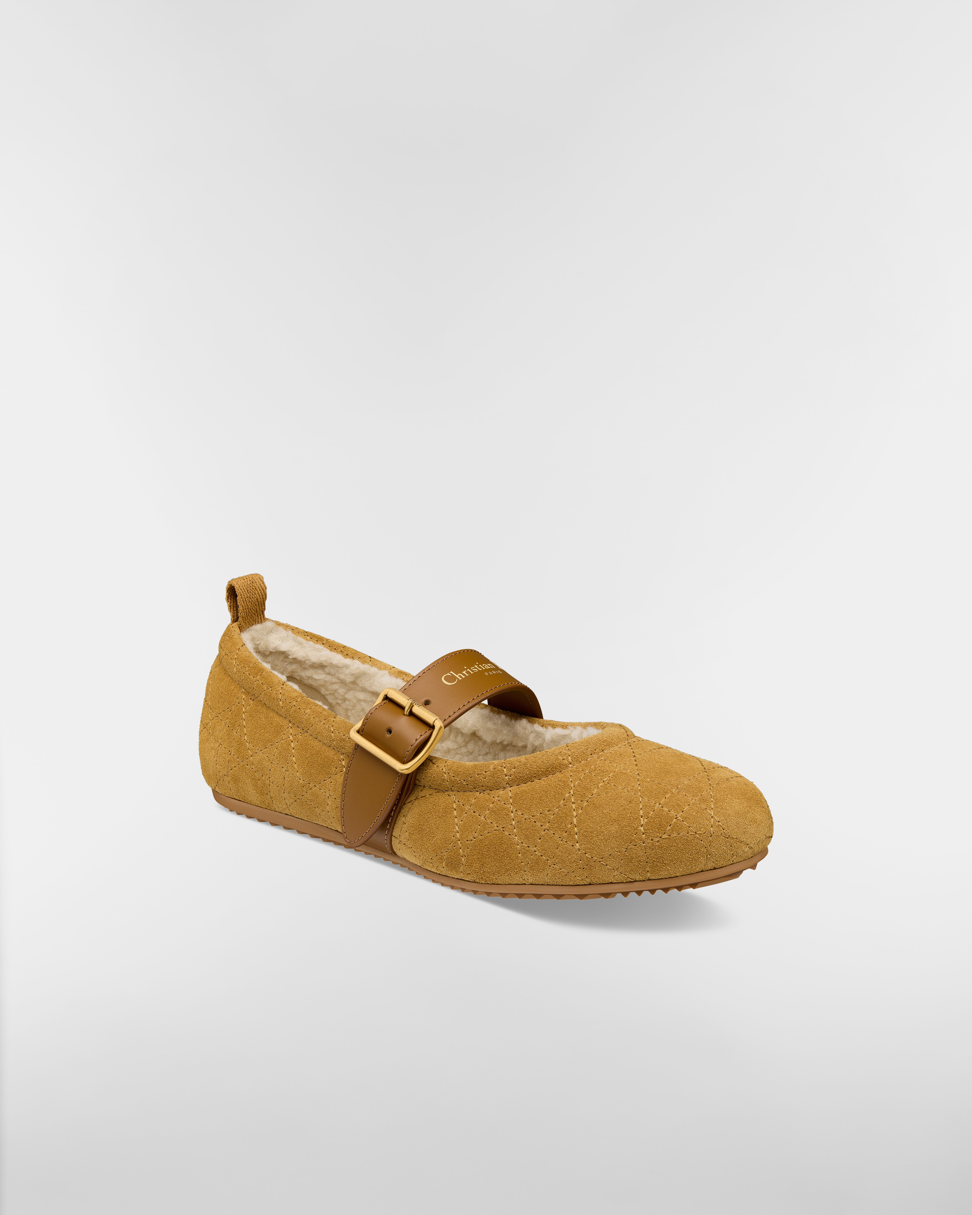 DiorAlps Dior Frost Ballet Flat Camel Cannage Suede Calfskin E03