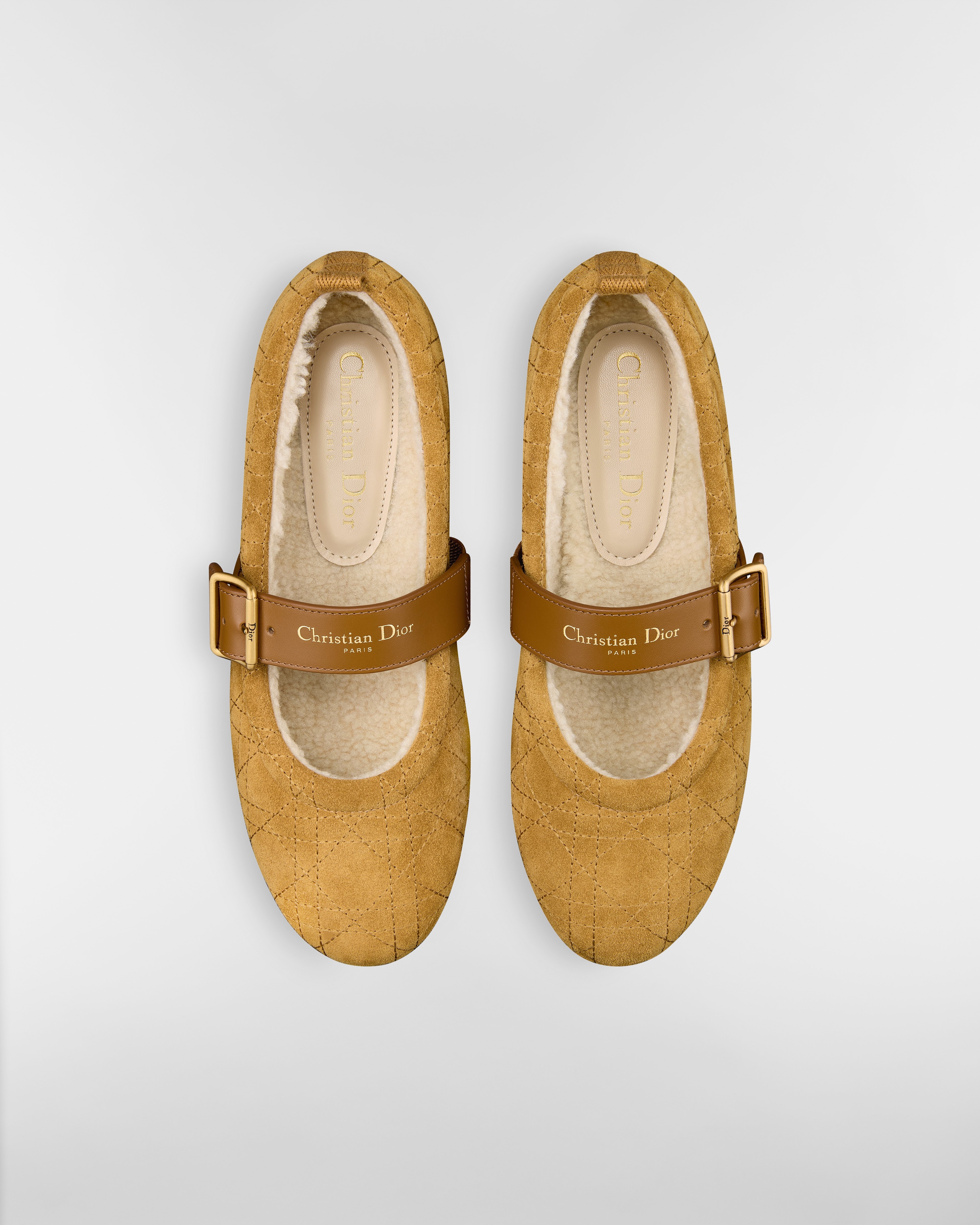 DiorAlps Dior Frost Ballet Flat Camel Cannage Suede Calfskin E06