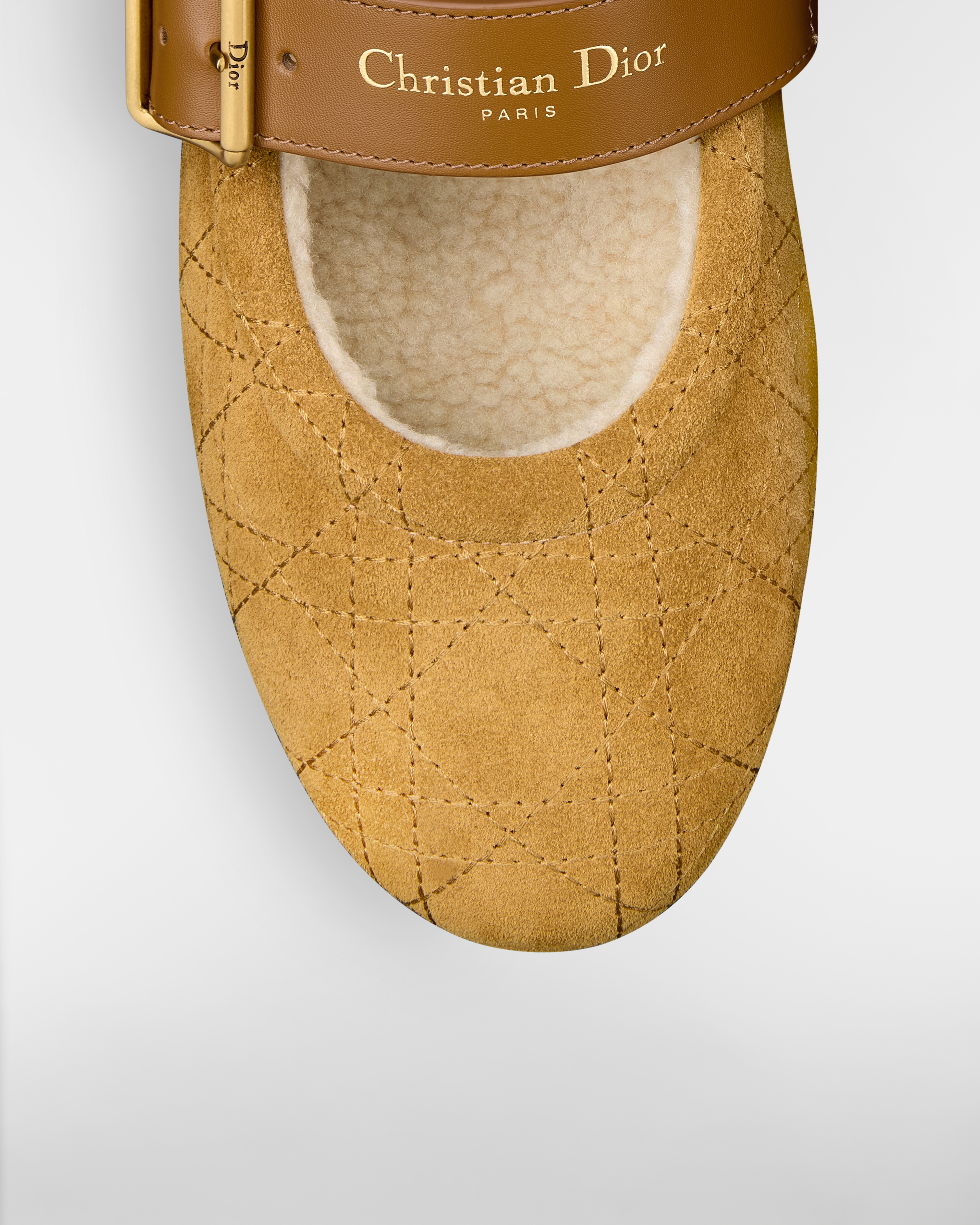 DiorAlps Dior Frost Ballerina Cannage Kalbsveloursleder in Kamelbraun E09