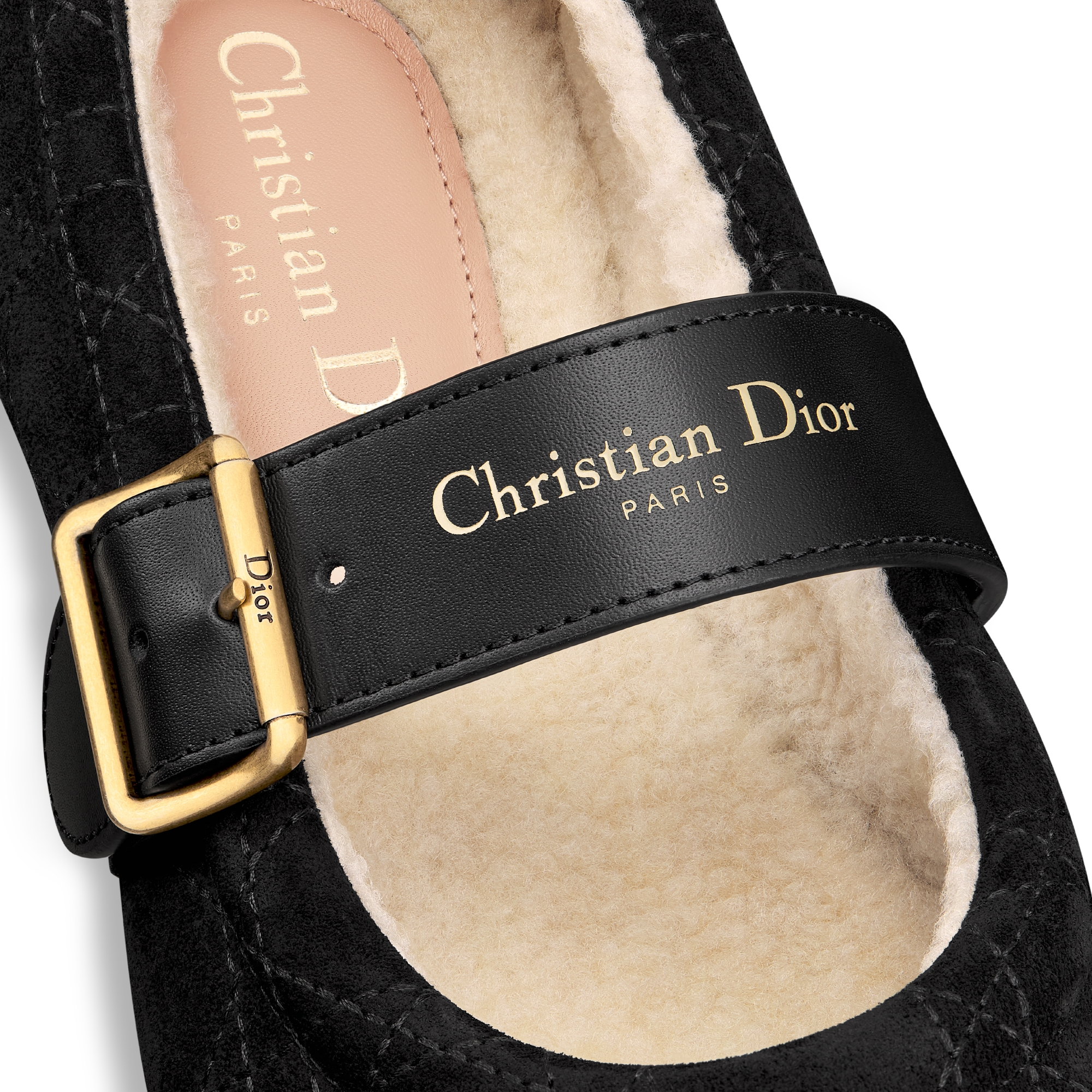 DiorAlps Dior Frost Ballet Flat Black Cannage Suede Calfskin E09