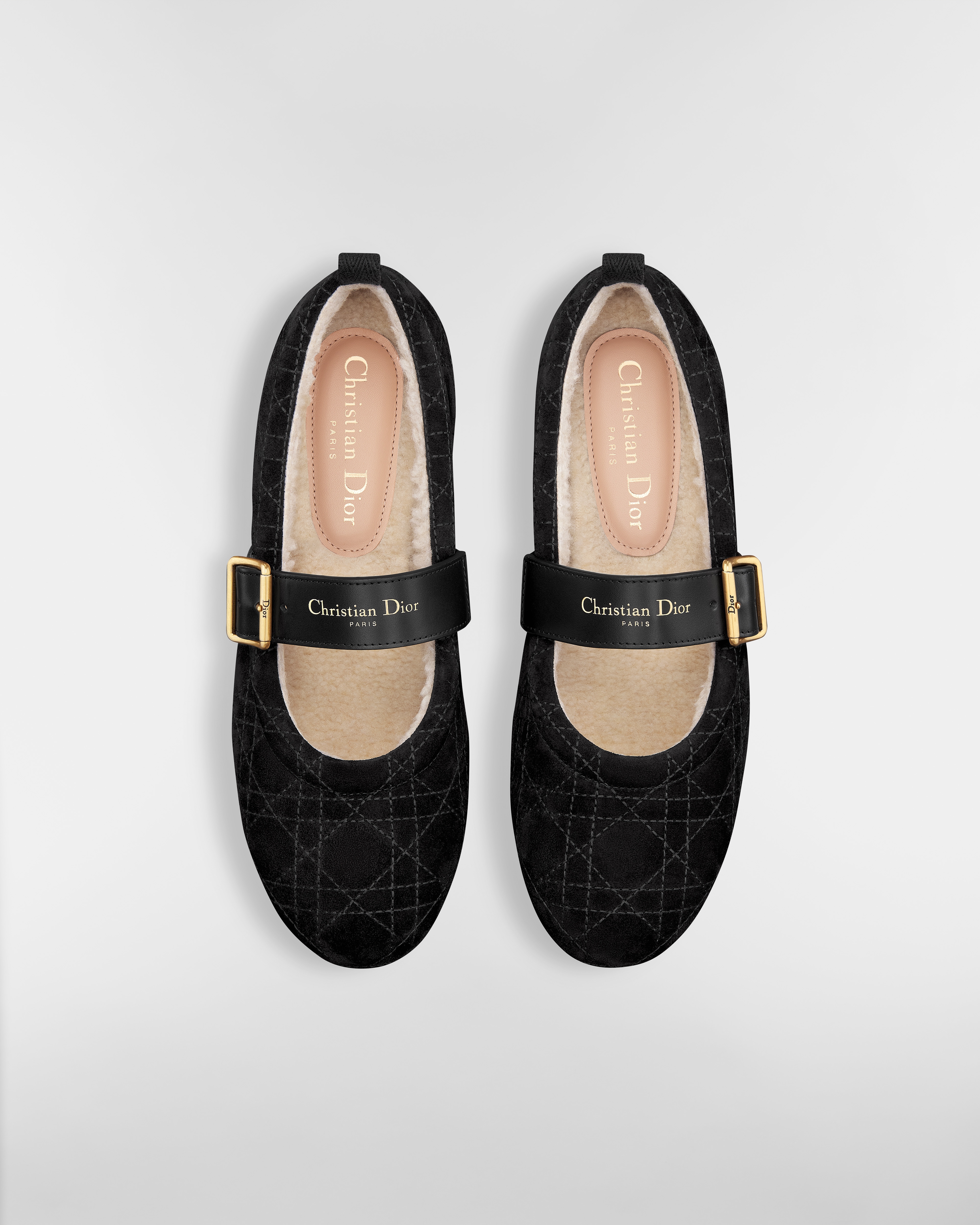 DiorAlps Dior Frost-ballerina Zwarte kalfssuède met Cannage-motief E06