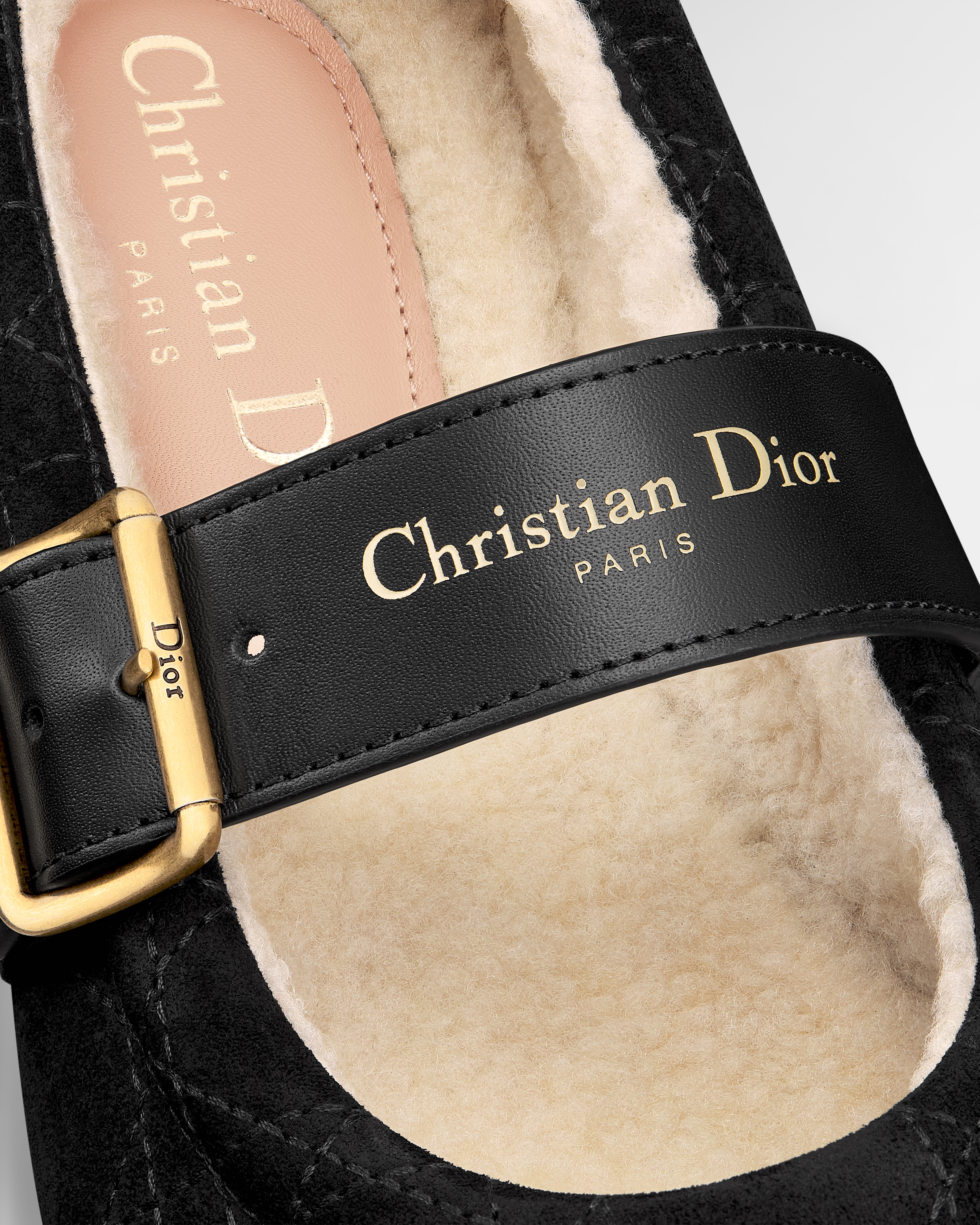 DiorAlps Dior Frost Ballet Flat Black Cannage Suede Calfskin E09