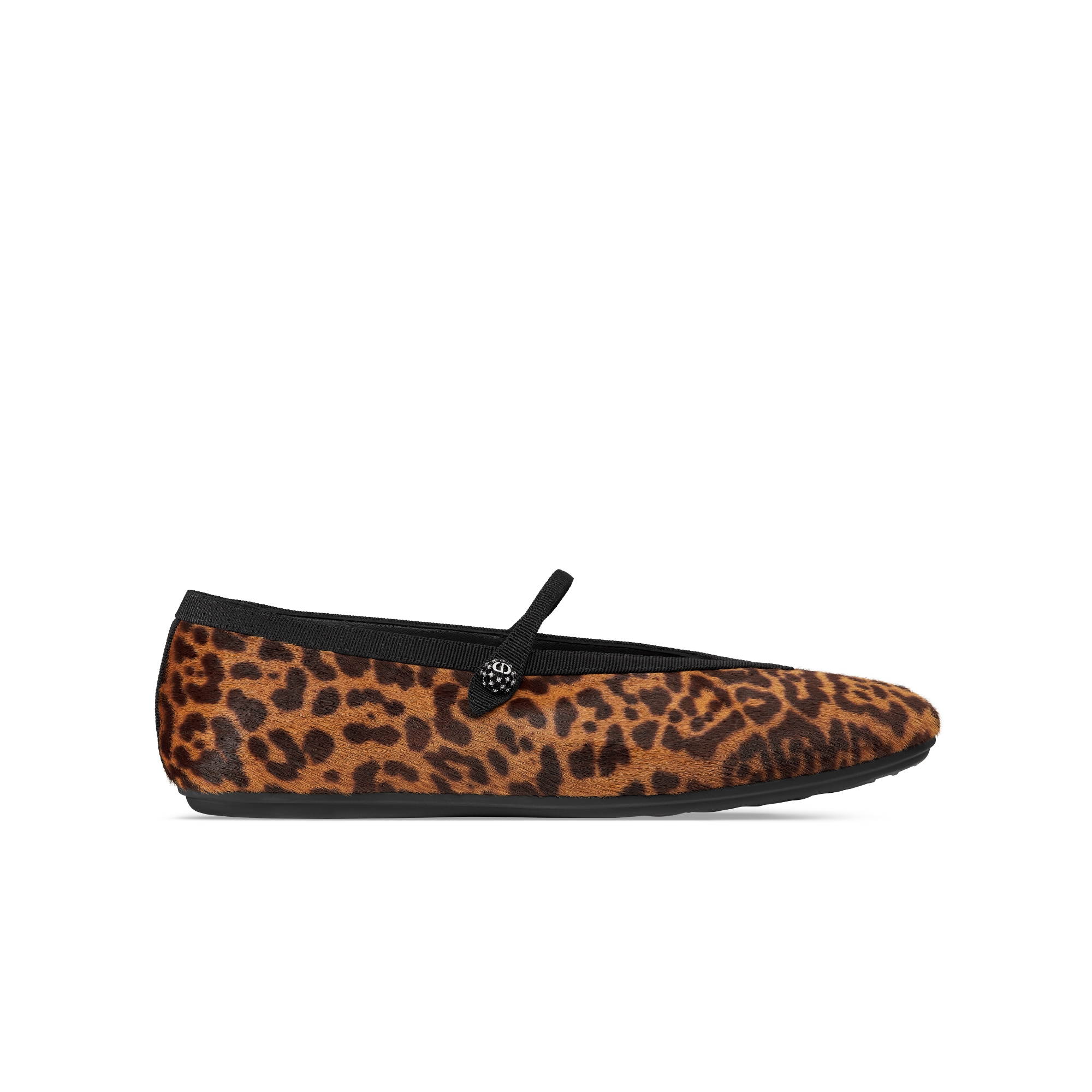 Dior New Ballet Flat