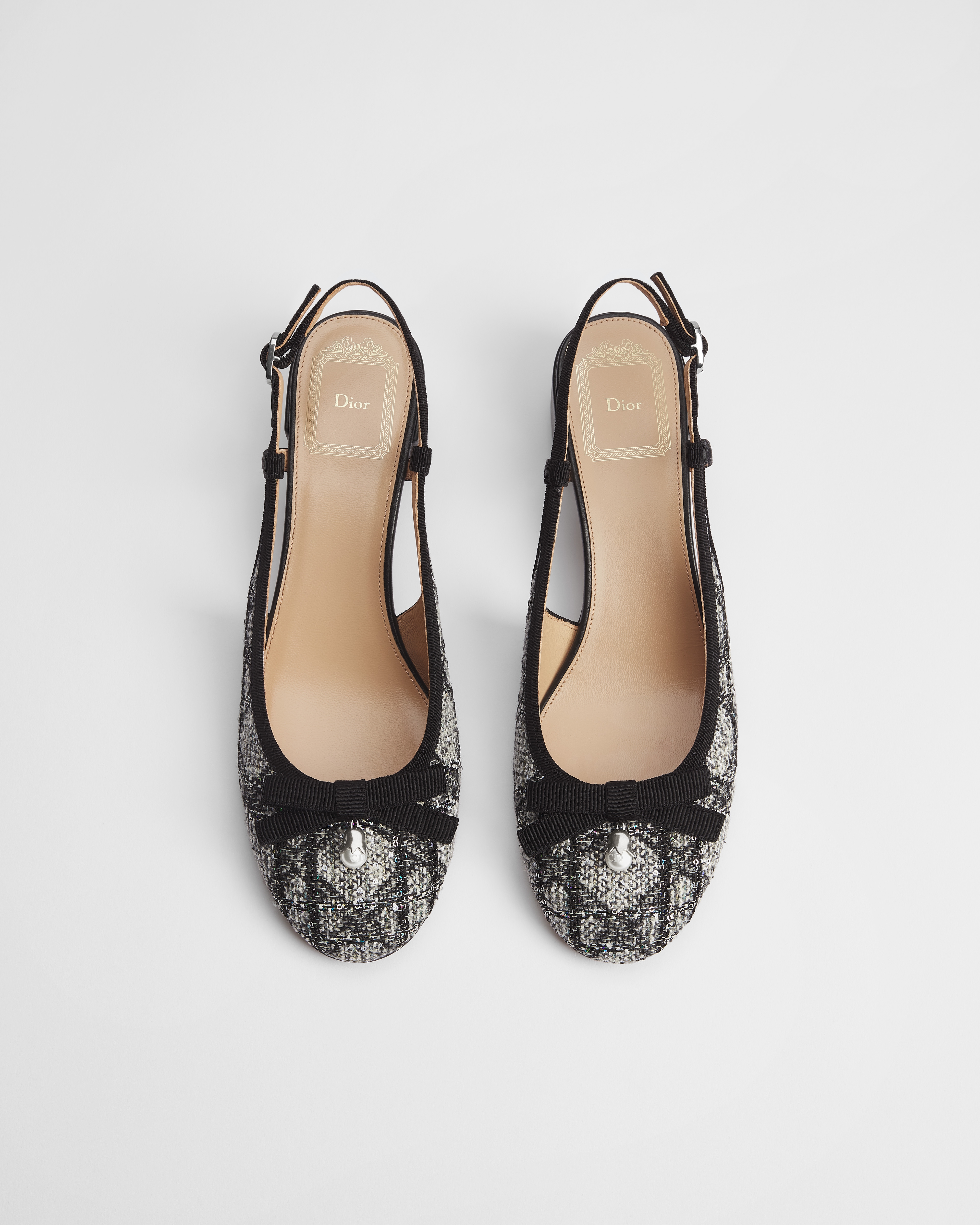 Dior Ballet Slingback Pump