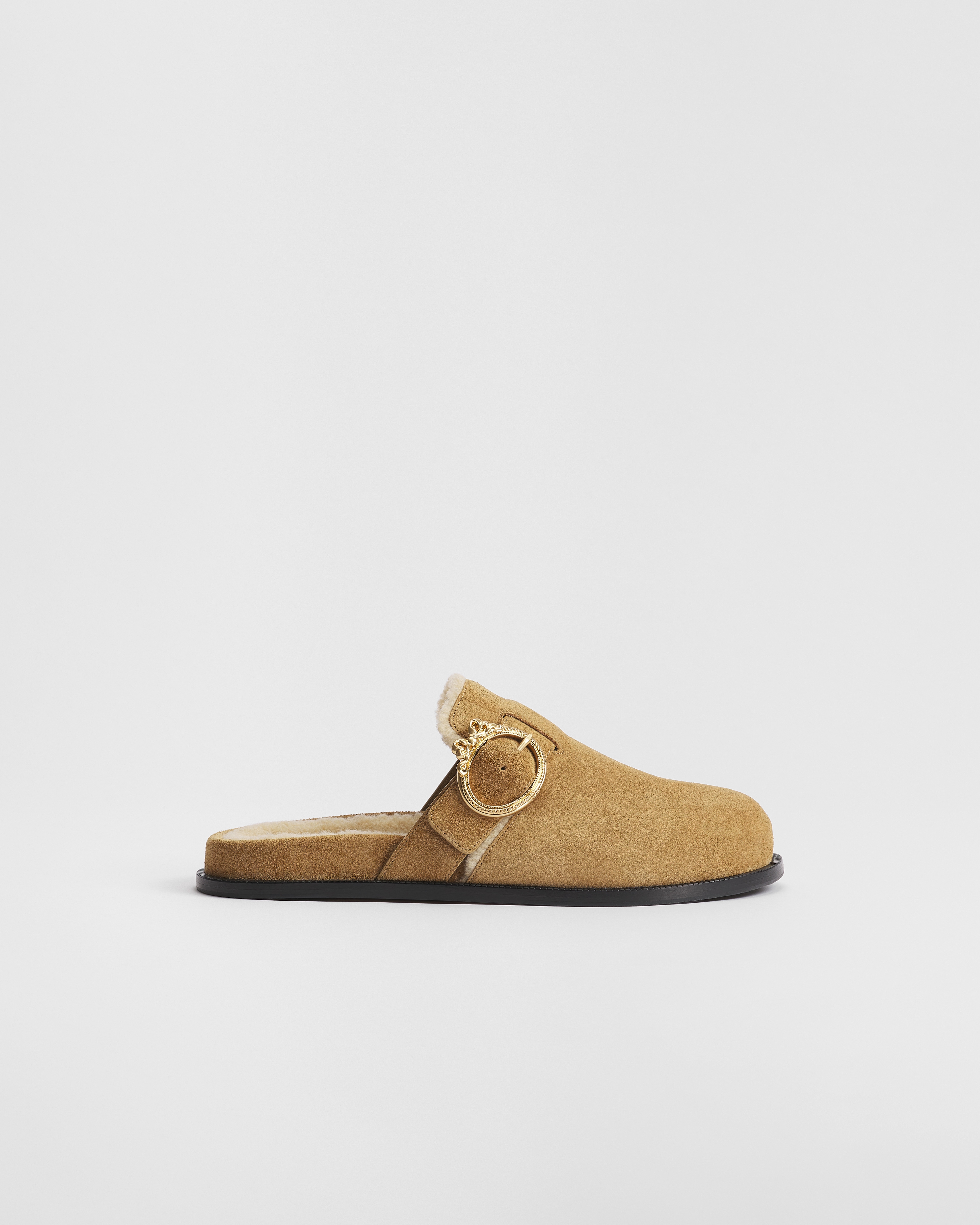 DiorAlps Dior Médaillon Buckle Mule