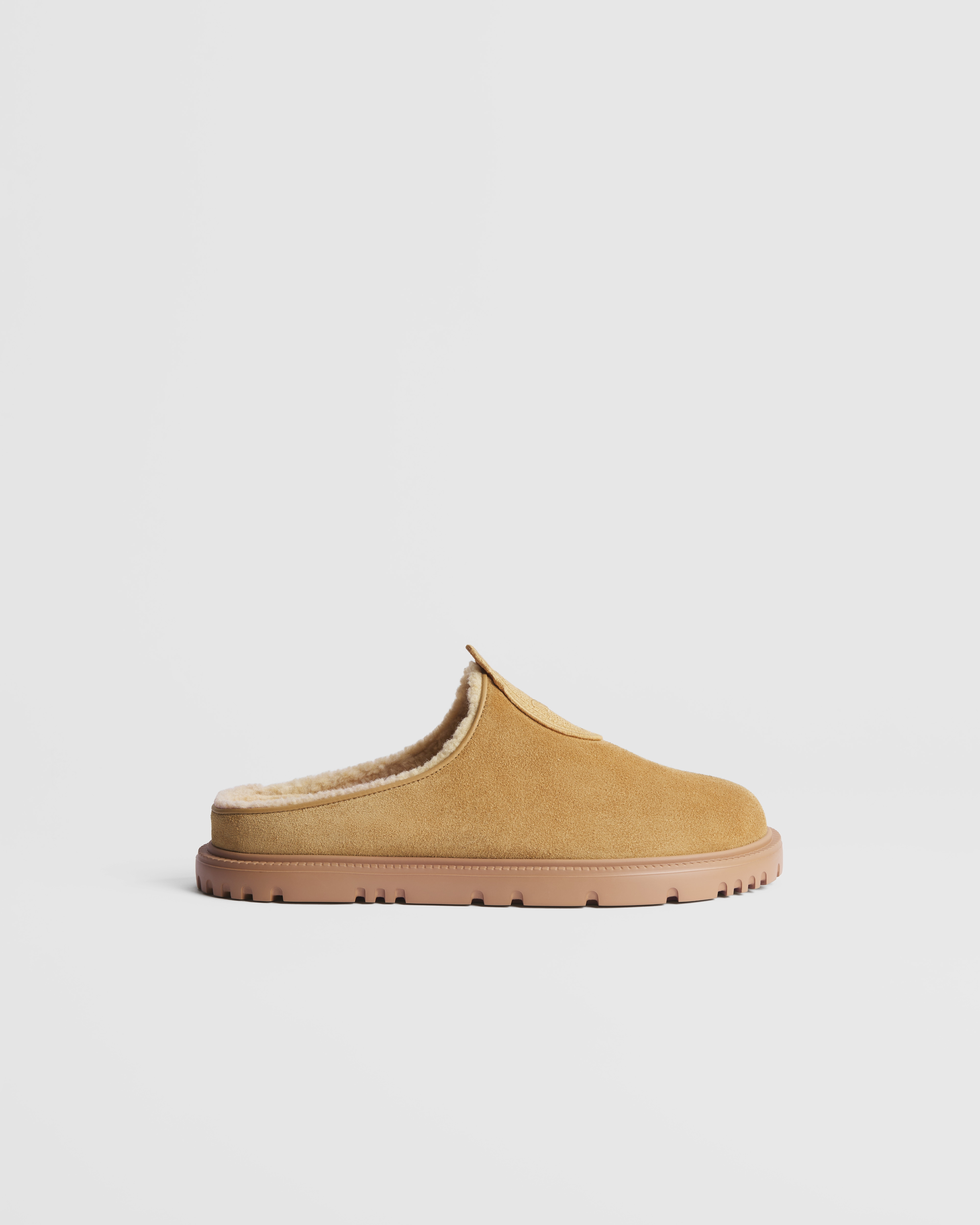 DiorAlps Dior Médaillon Mule