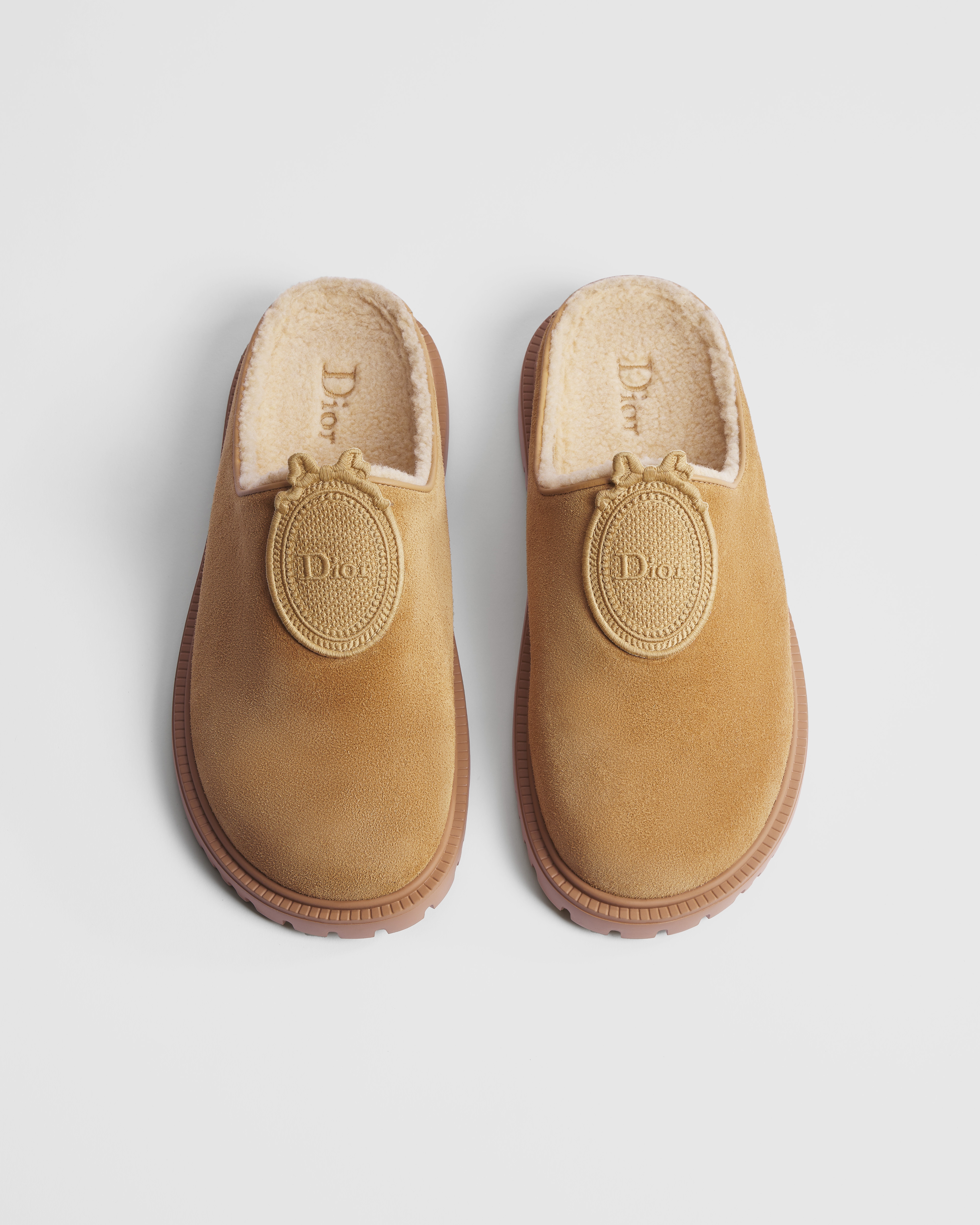 DiorAlps Dior Médaillon Mule