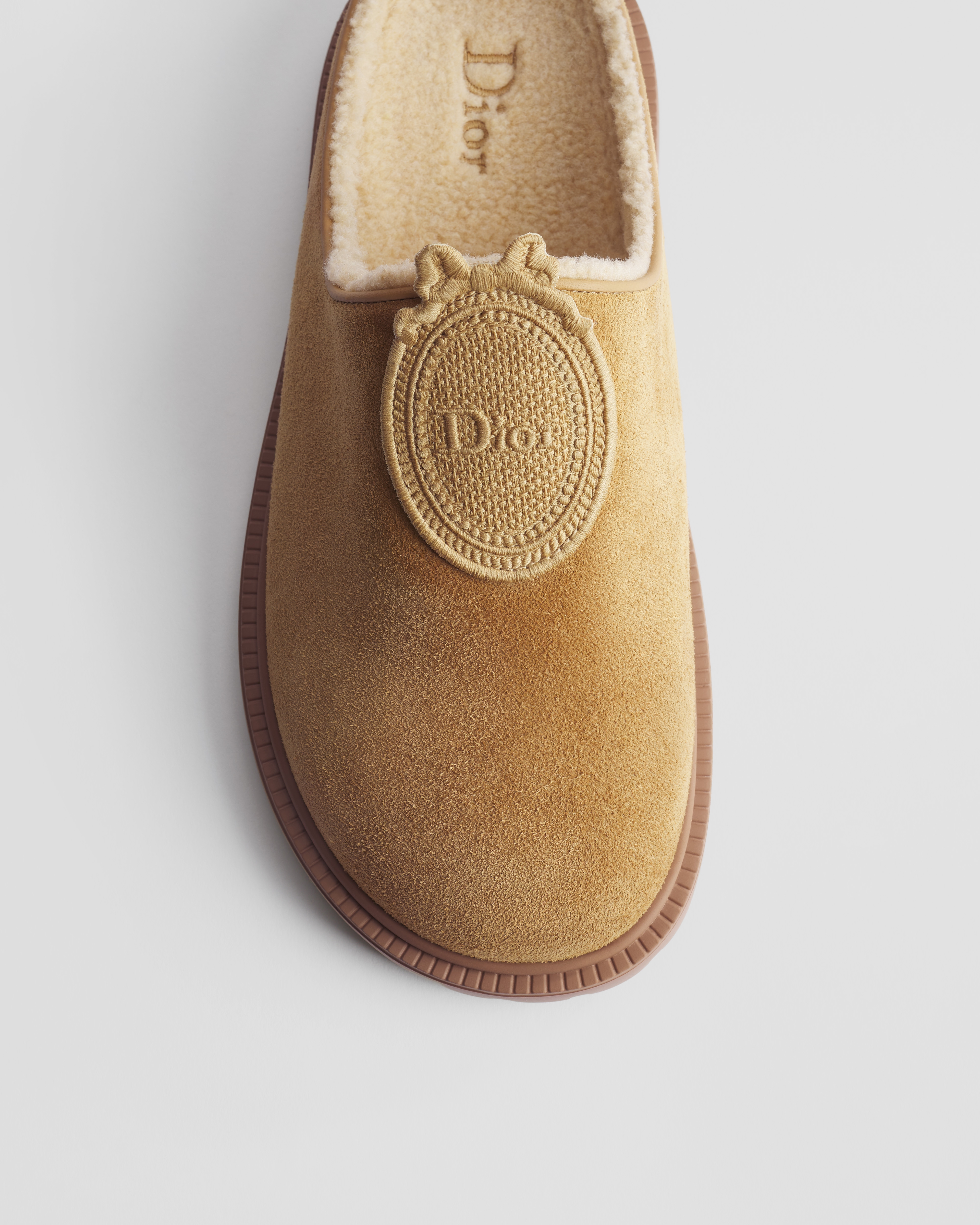 DiorAlps Dior Médaillon Mule