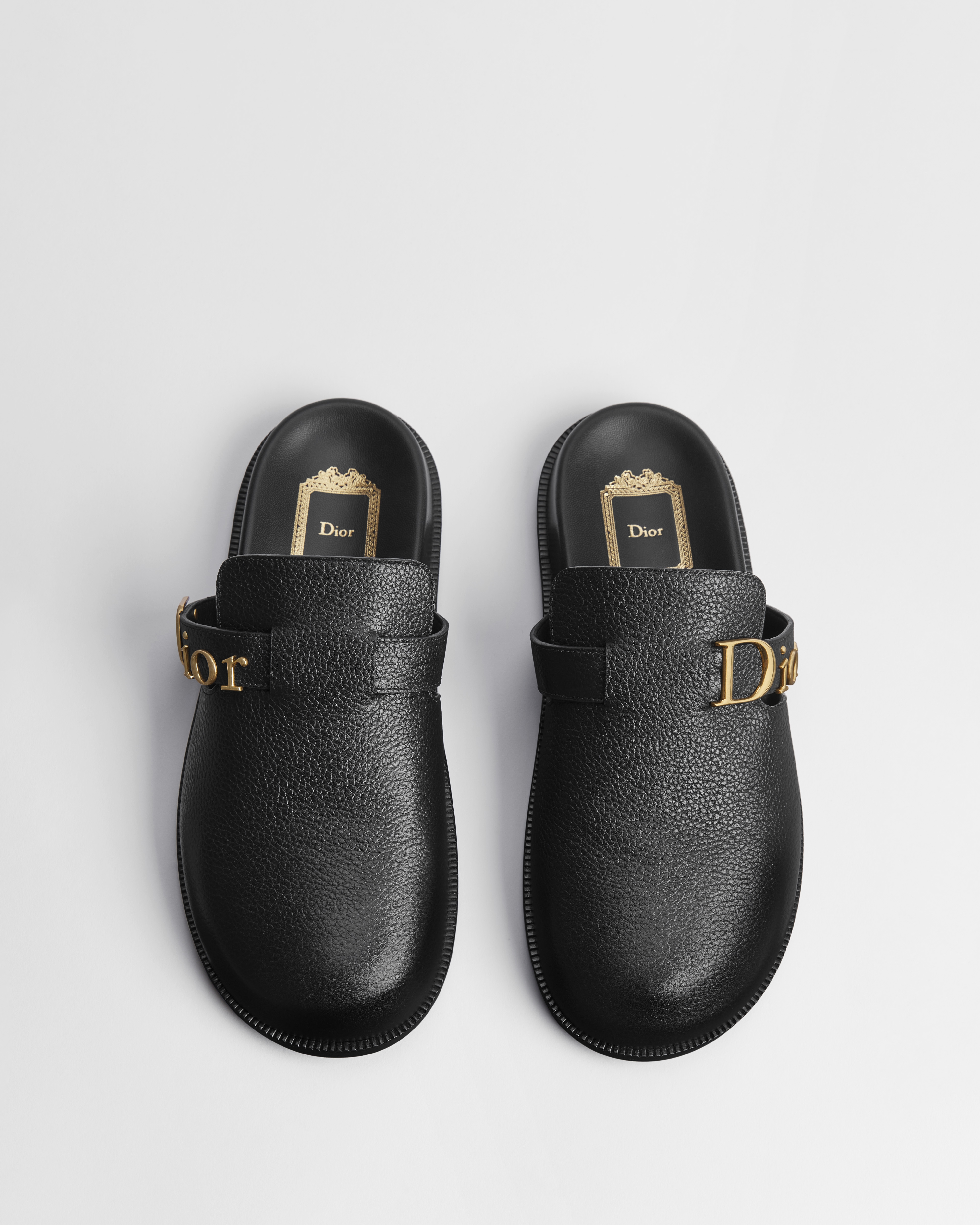 Dior Bolt Mule