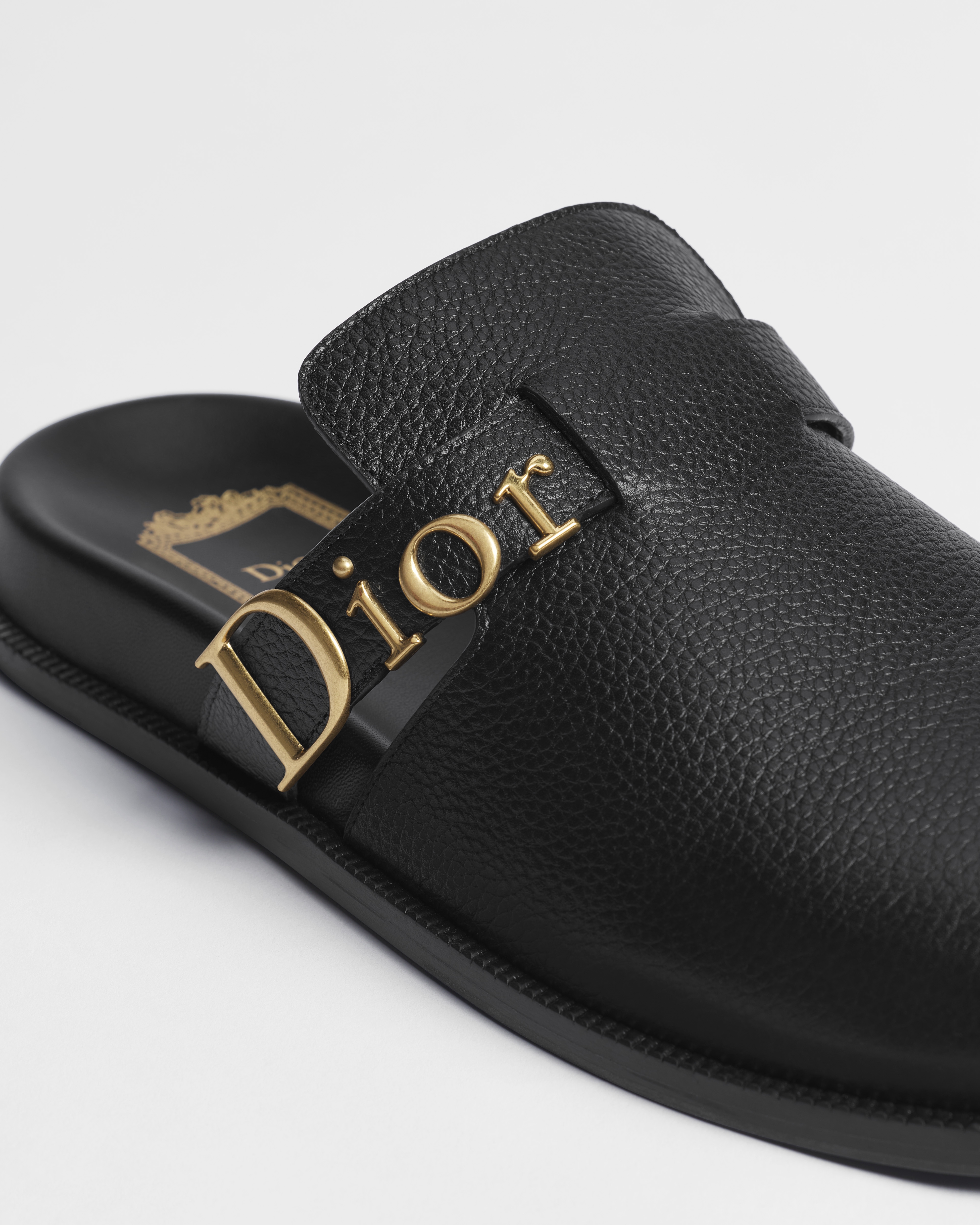 Dior Bolt Mule