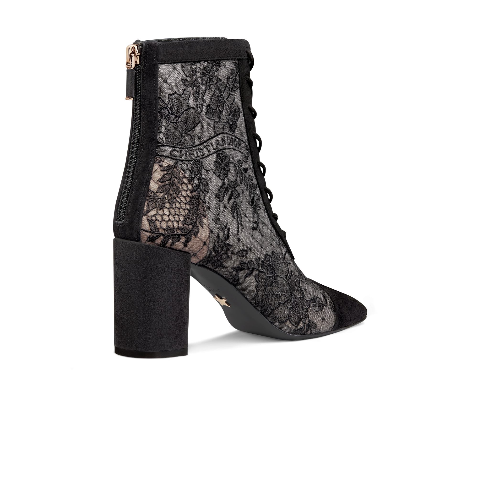 Naughtily-D Ankle Boot mit Absatz Transparentes Mesh und Ziegenveloursleder mit Dior Roses Stickerei in Schwarz E05