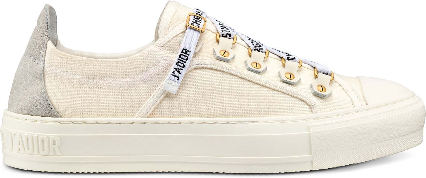 Dior sneakers canvas sales