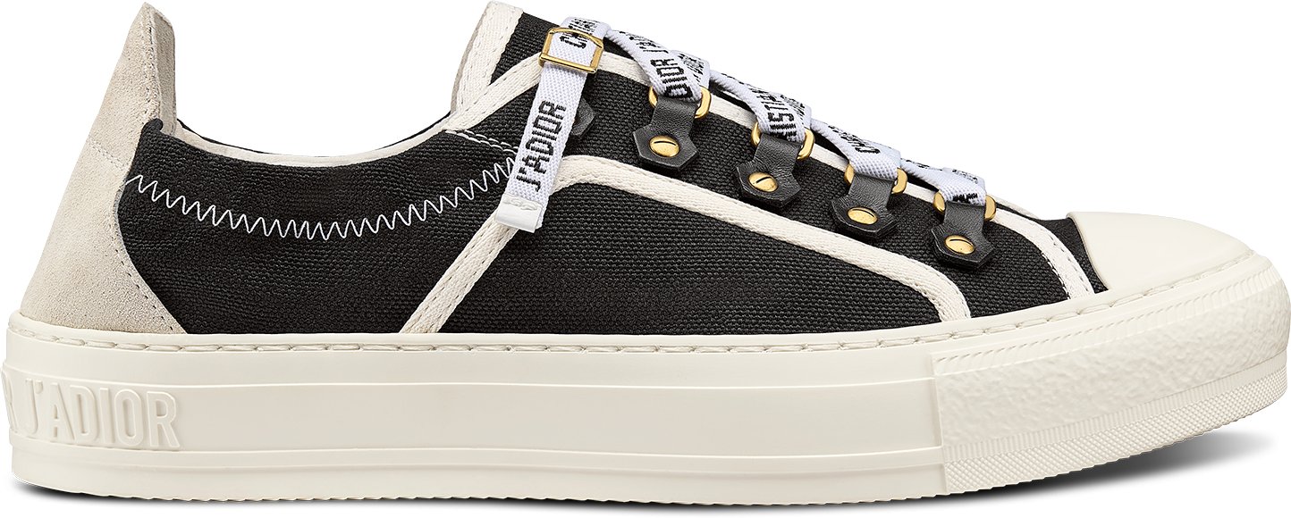 Dior sneakers canvas new arrivals