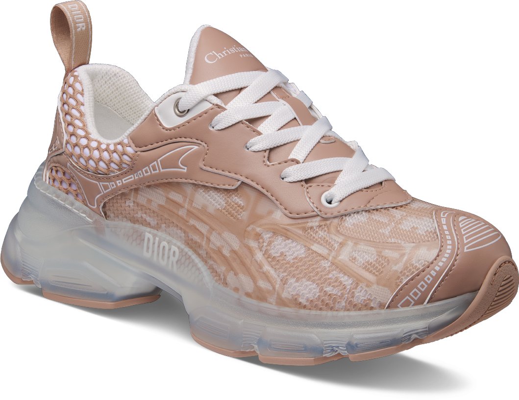 Dior sneakers online online