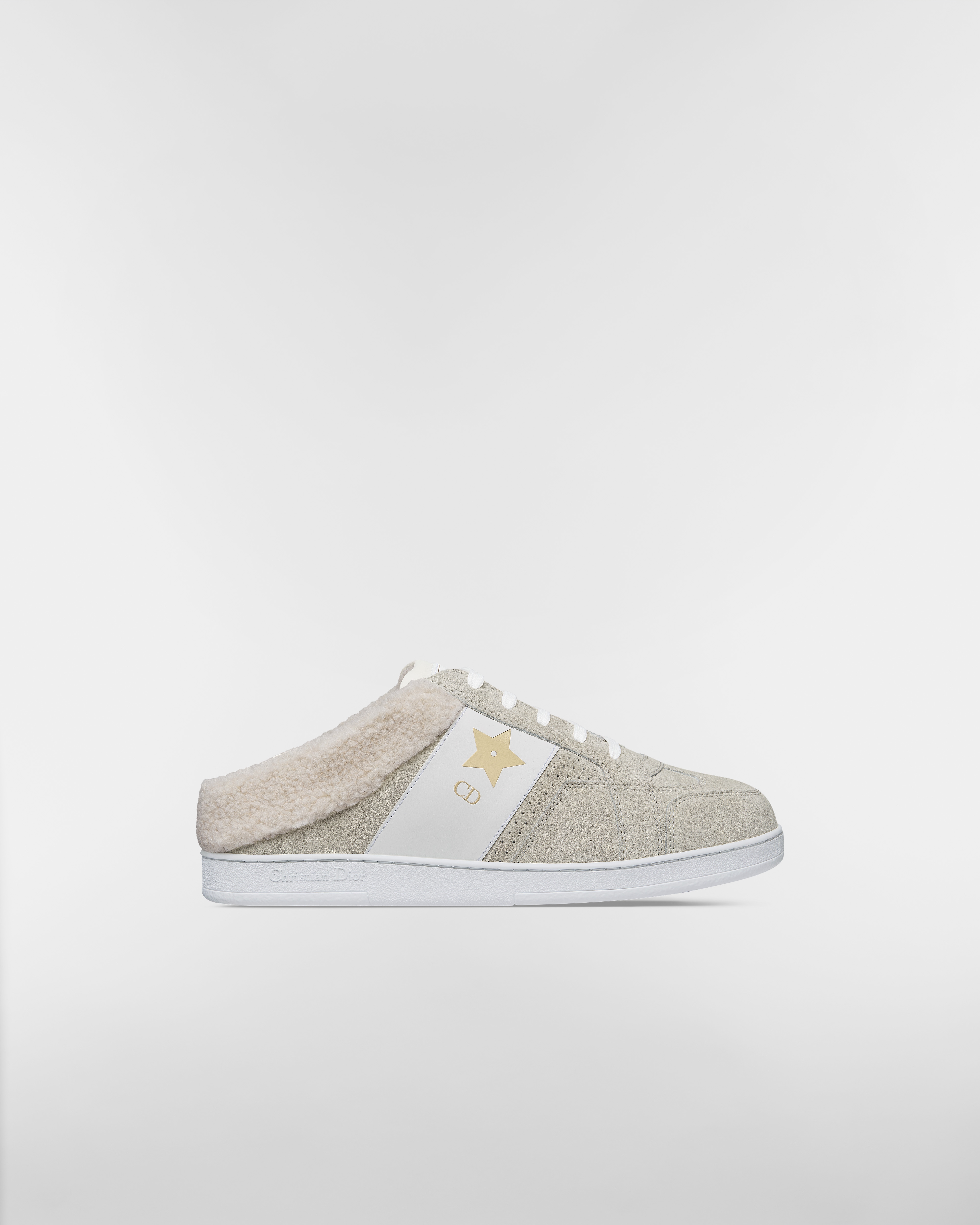 Dior Star Sneaker Gray Suede Calfskin E02