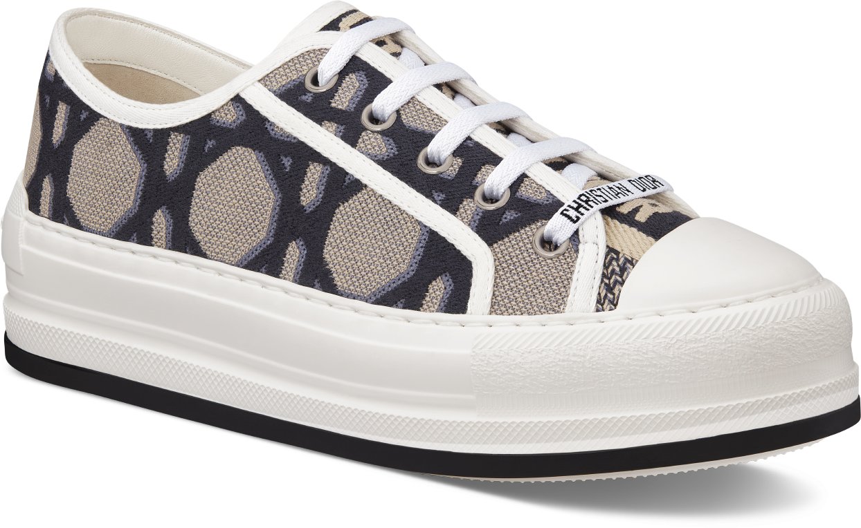 Dior shoes blue hot sale