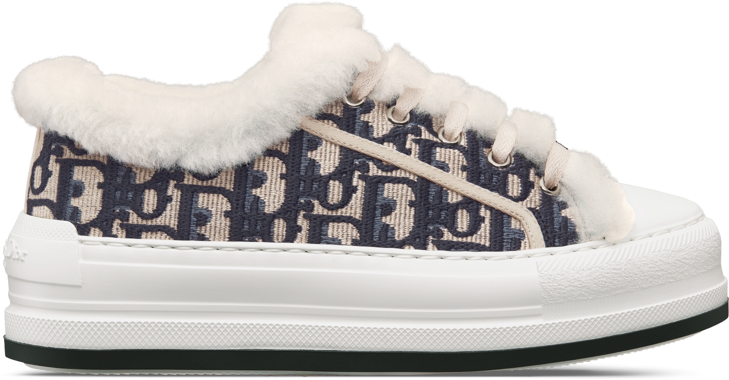 Christian dior sneakers womens hotsell