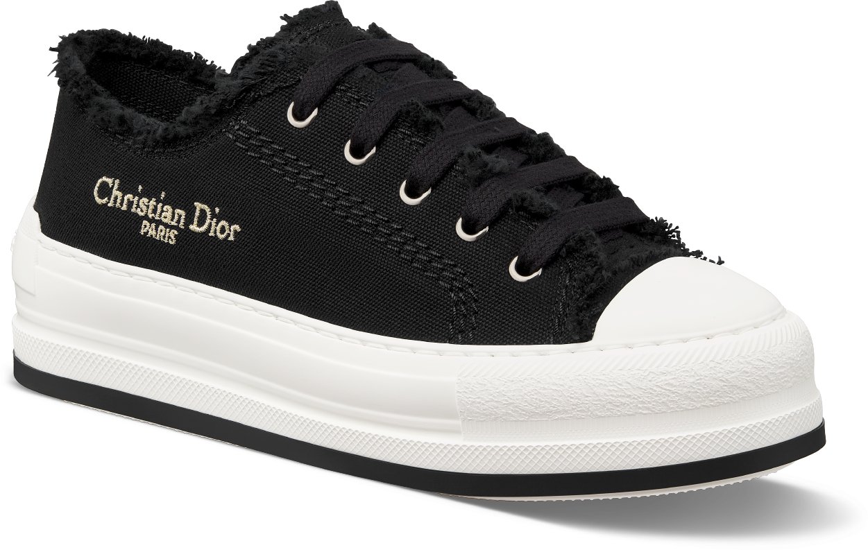 Dior canvas sneakers outlet