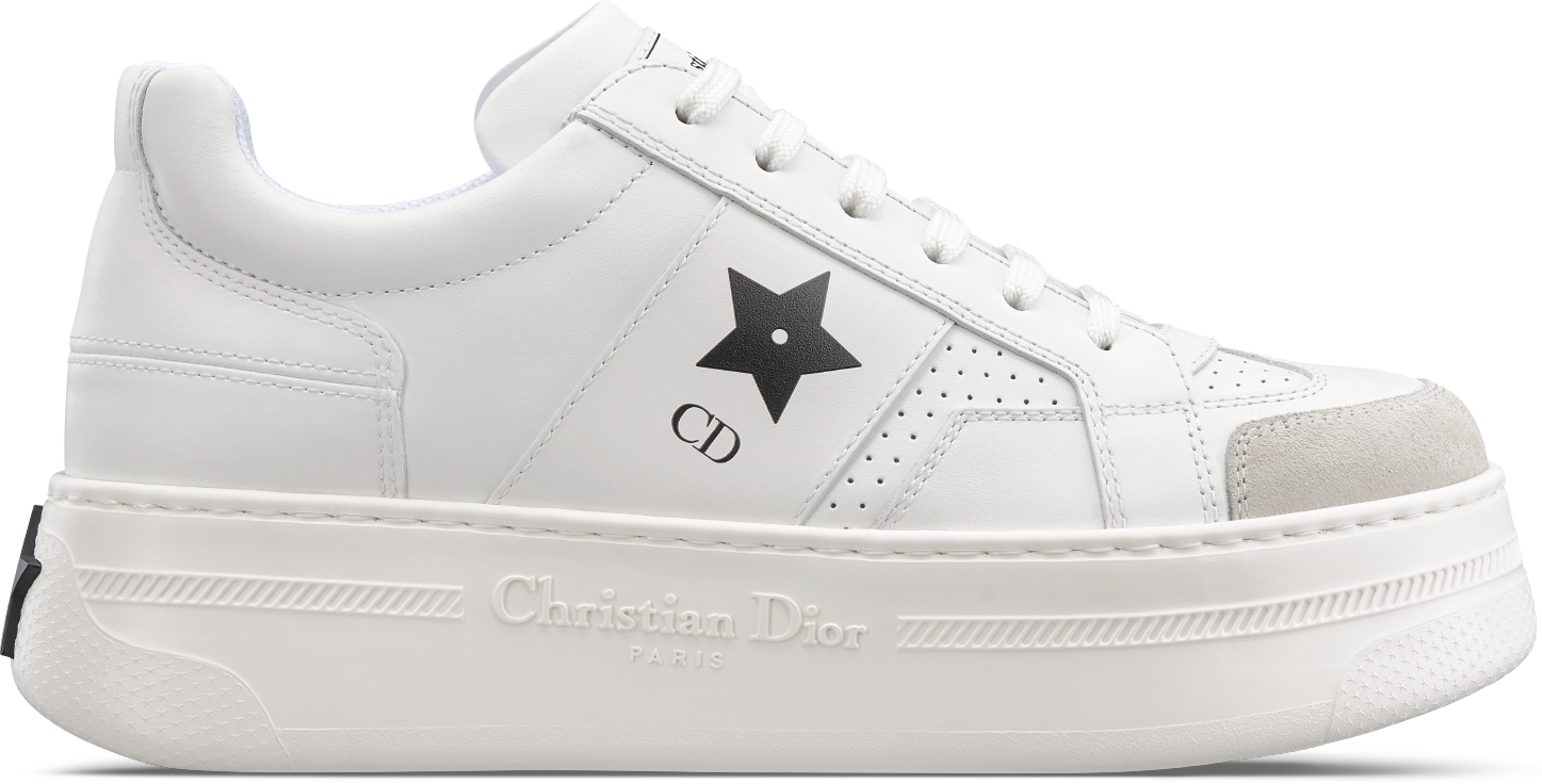 Dior all star shoes best sale