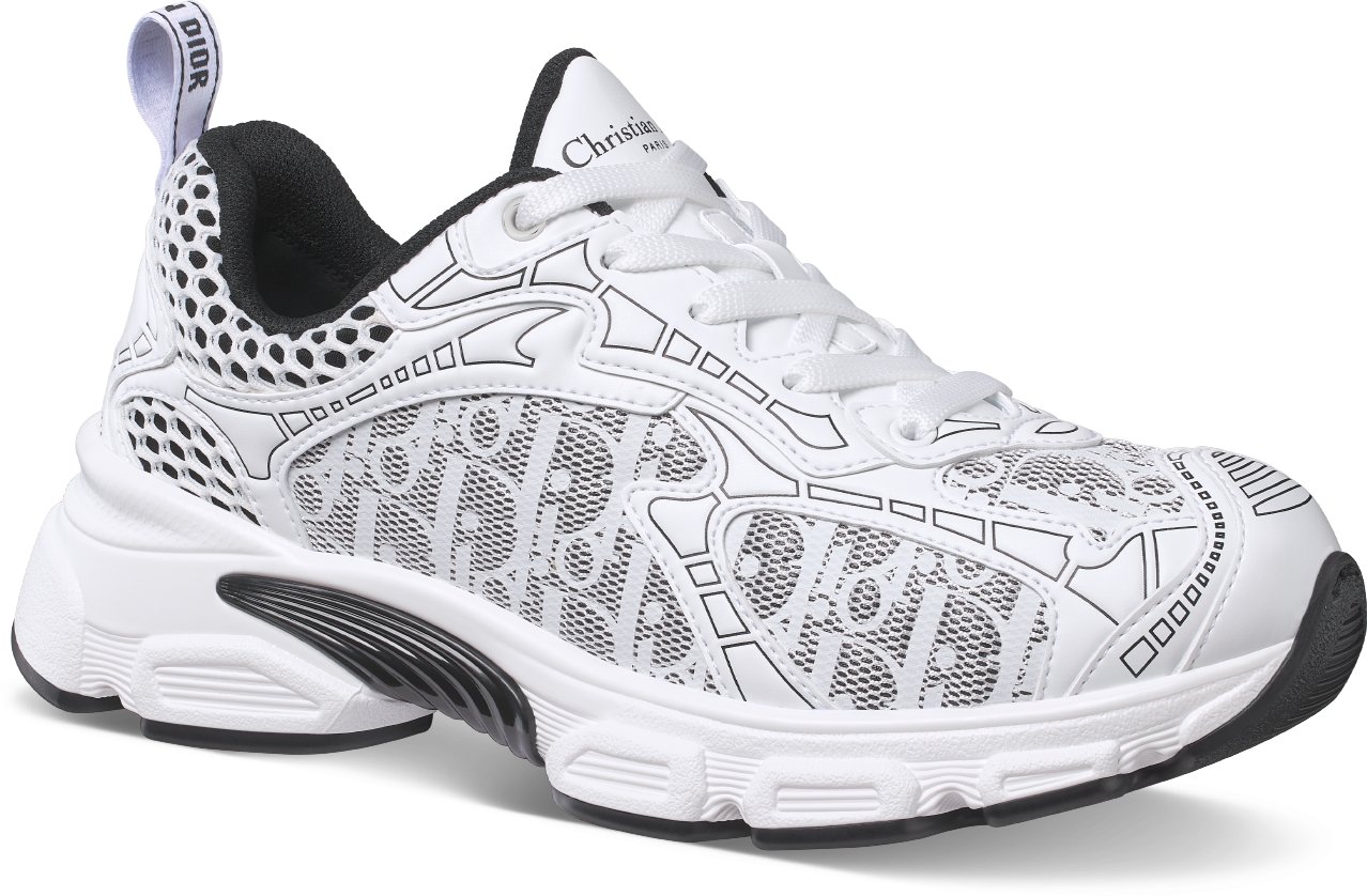 Dior oblique sneaker online